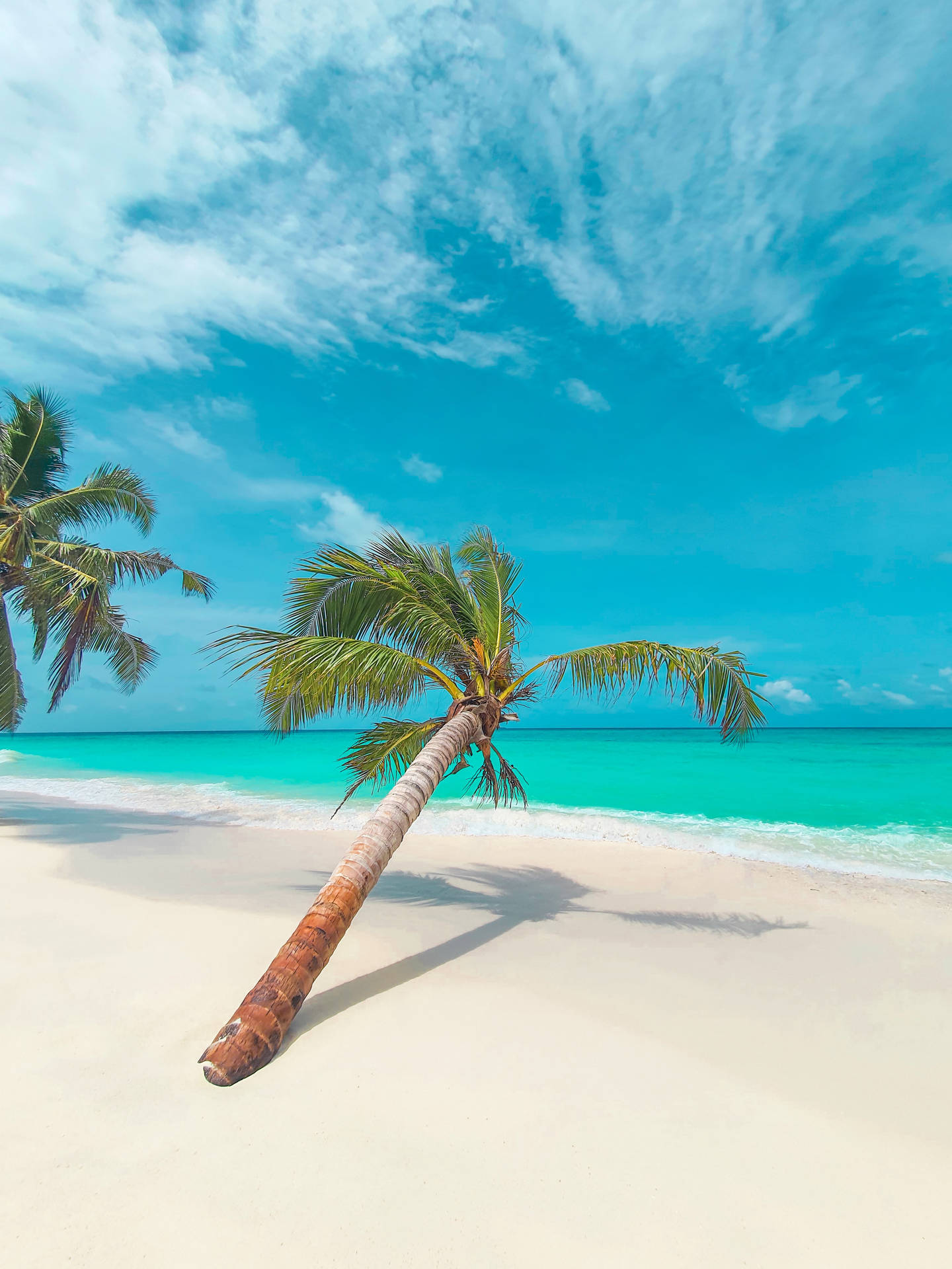 Tropical Beach Green Ocean