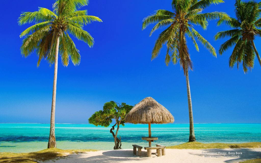 Tropical Beach Hut Palm Trees Background