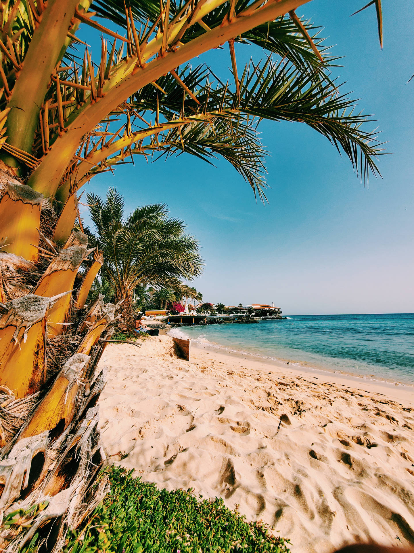 Tropical Beach In Cape Verde