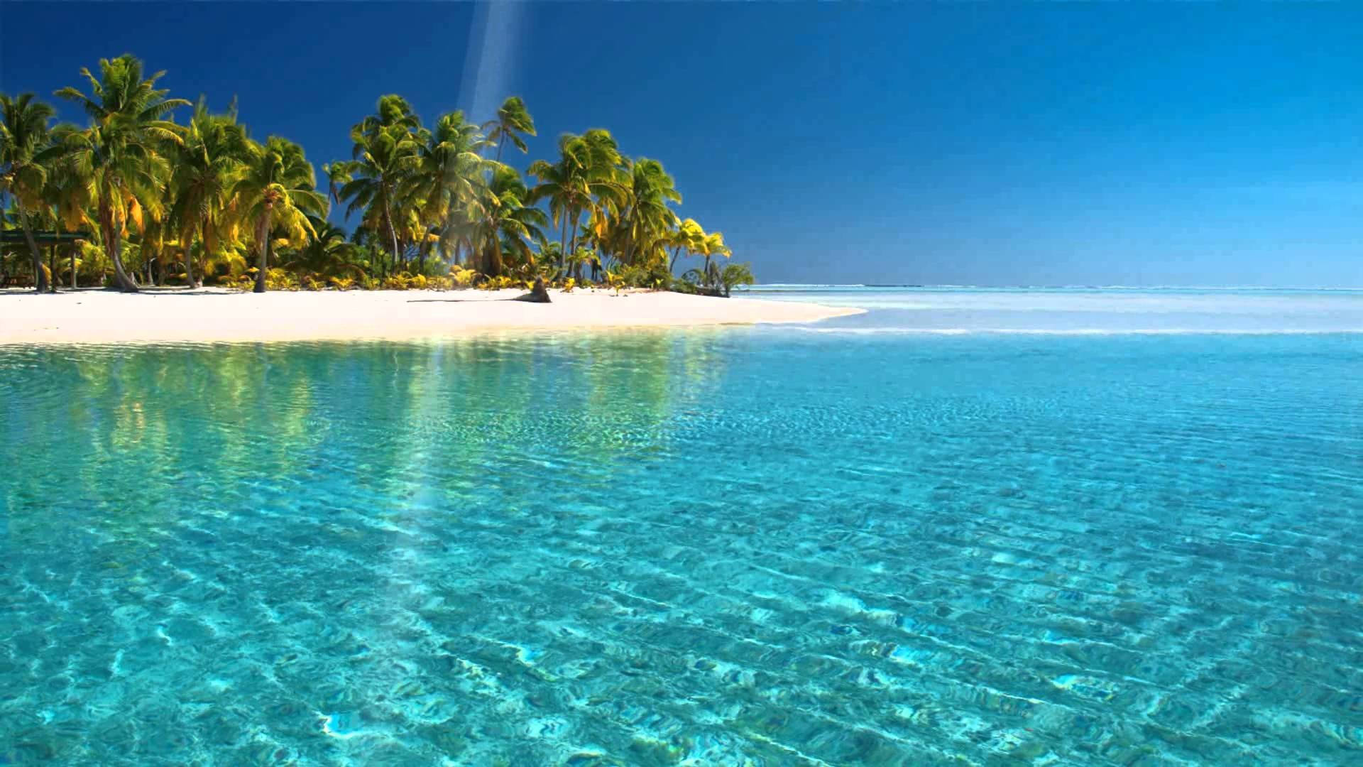 Tropical Beach Island Clear Waters