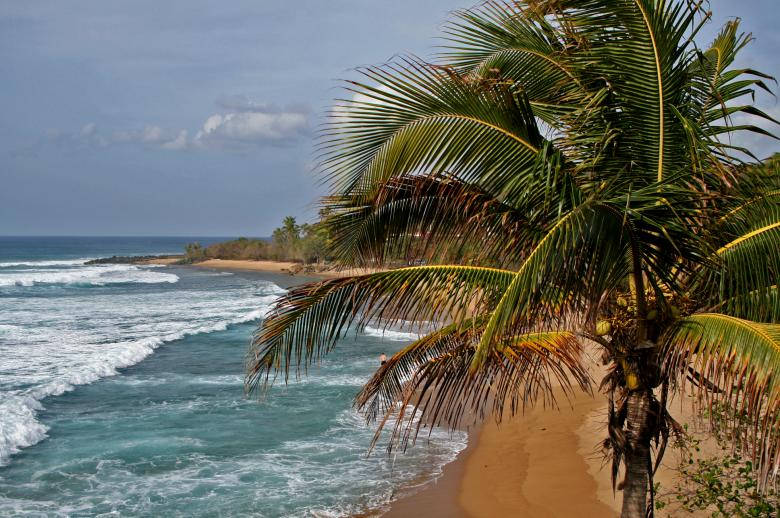 Tropical Beach Island Waves Background