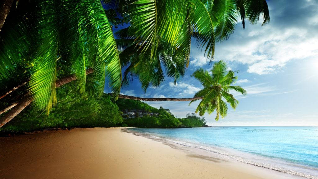 Tropical Beach Paradise 4k Desktop Background