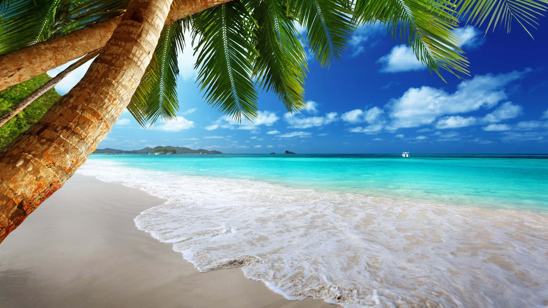 Tropical_ Beach_ Paradise