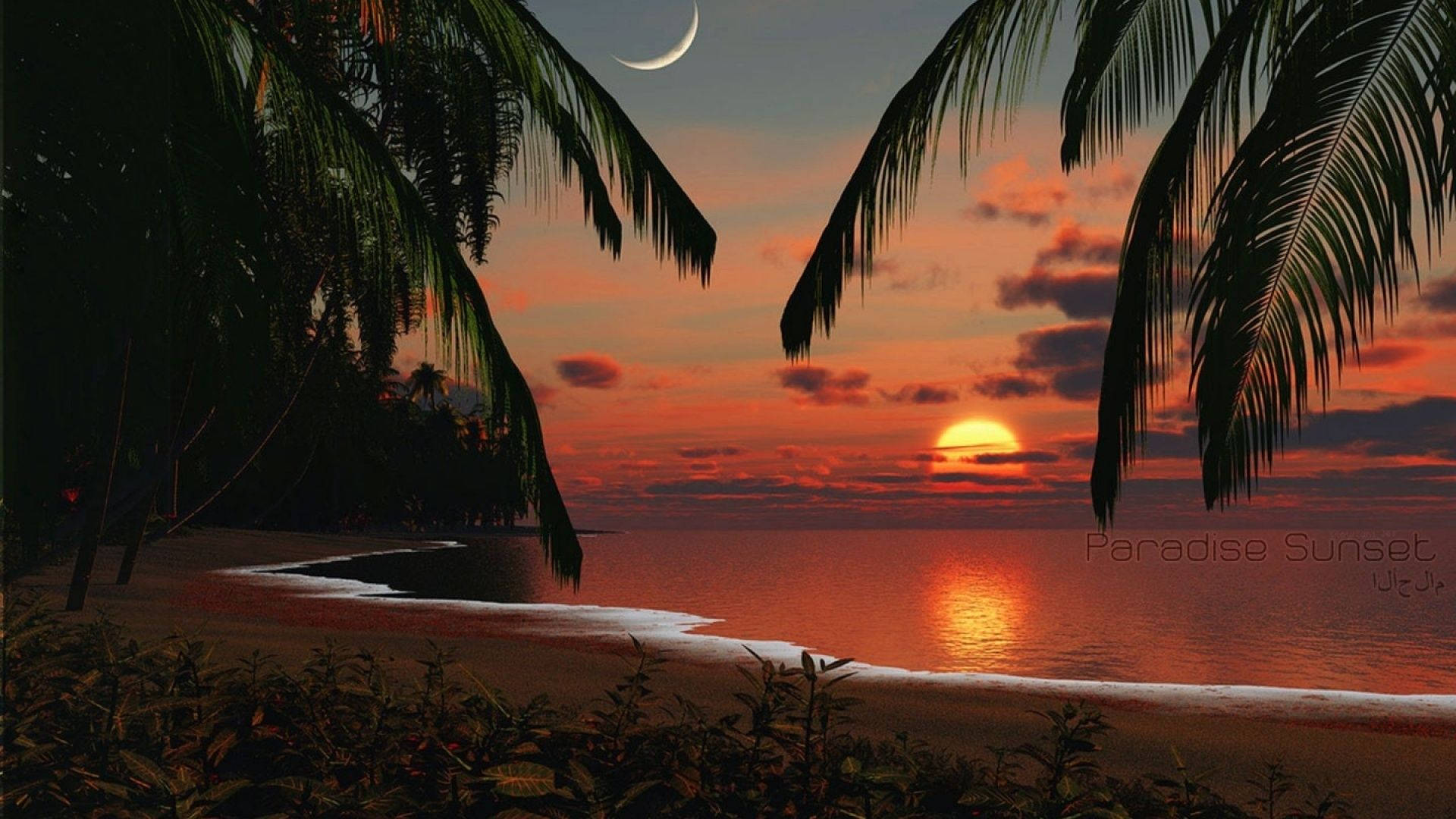 Tropical Beach Paradise Sunset Background