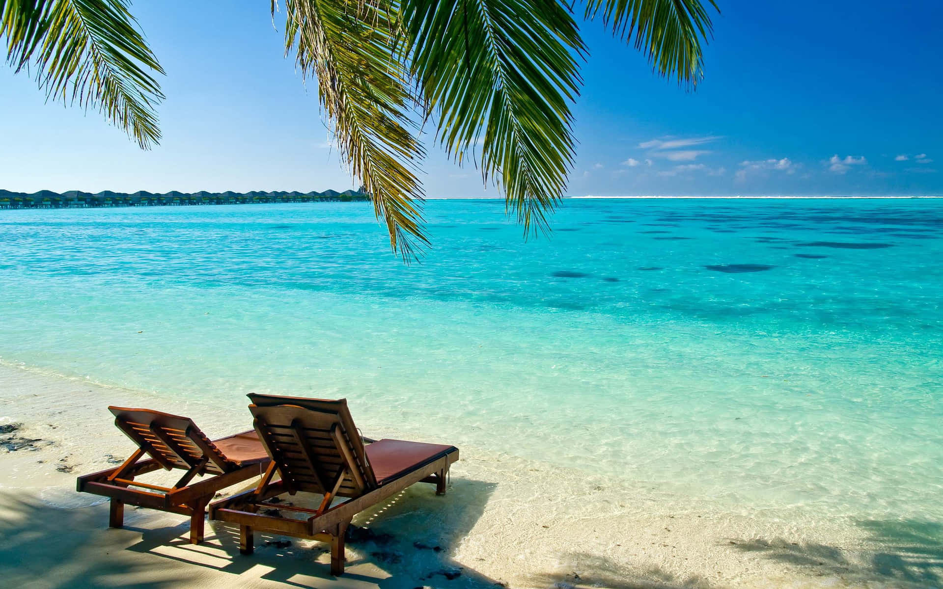 Tropical Beach Paradise Background