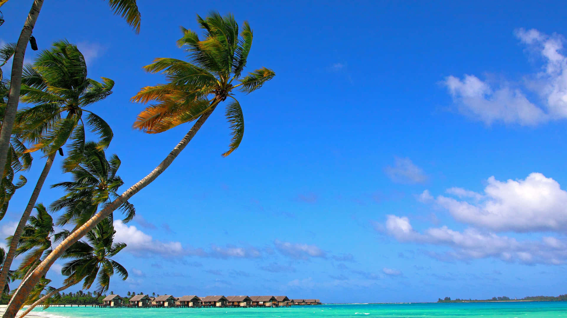 Tropical Beach Paradise4 K Ultra Wide Background