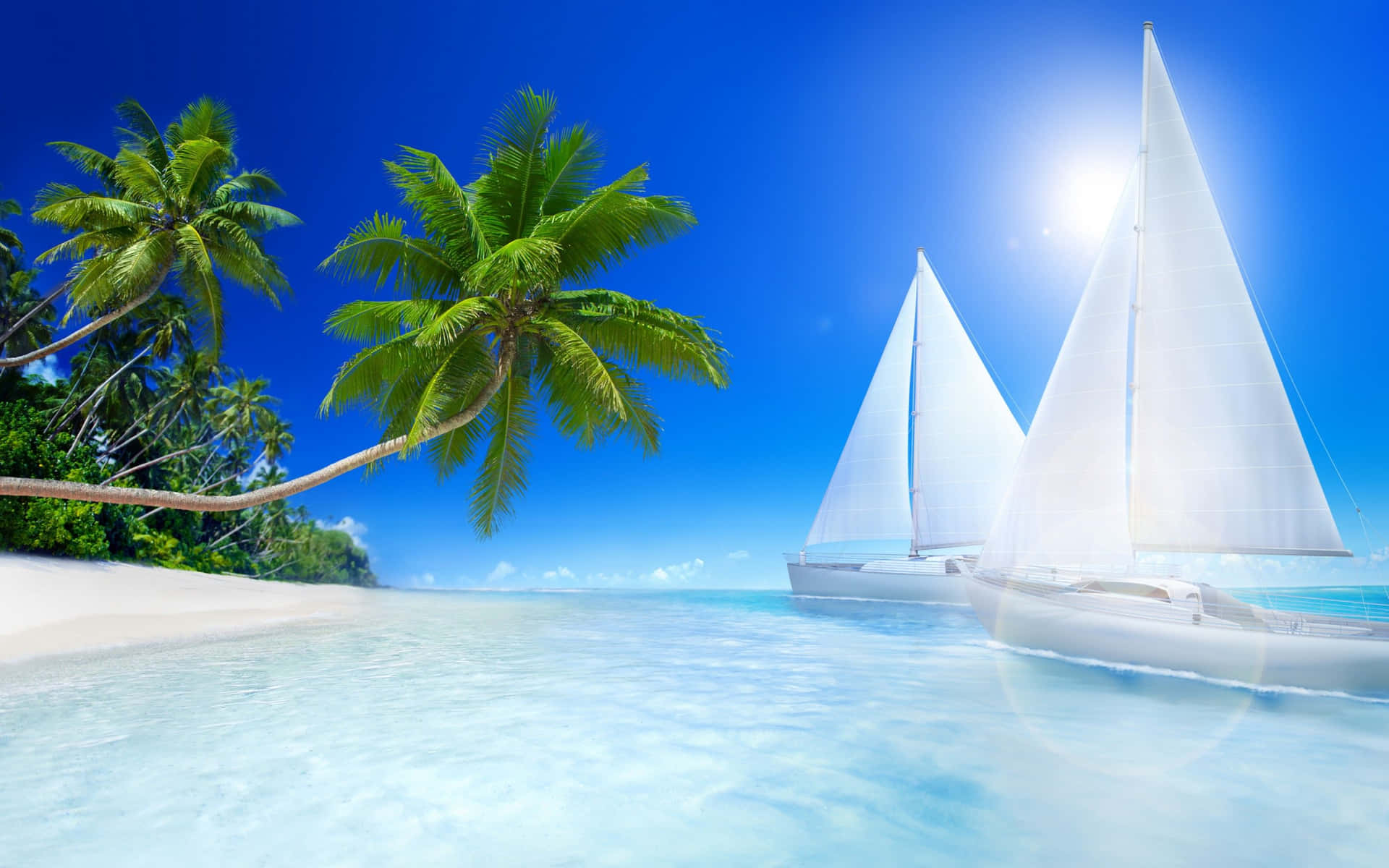 Tropical_ Beach_ Sailing_ Adventure.jpg Background