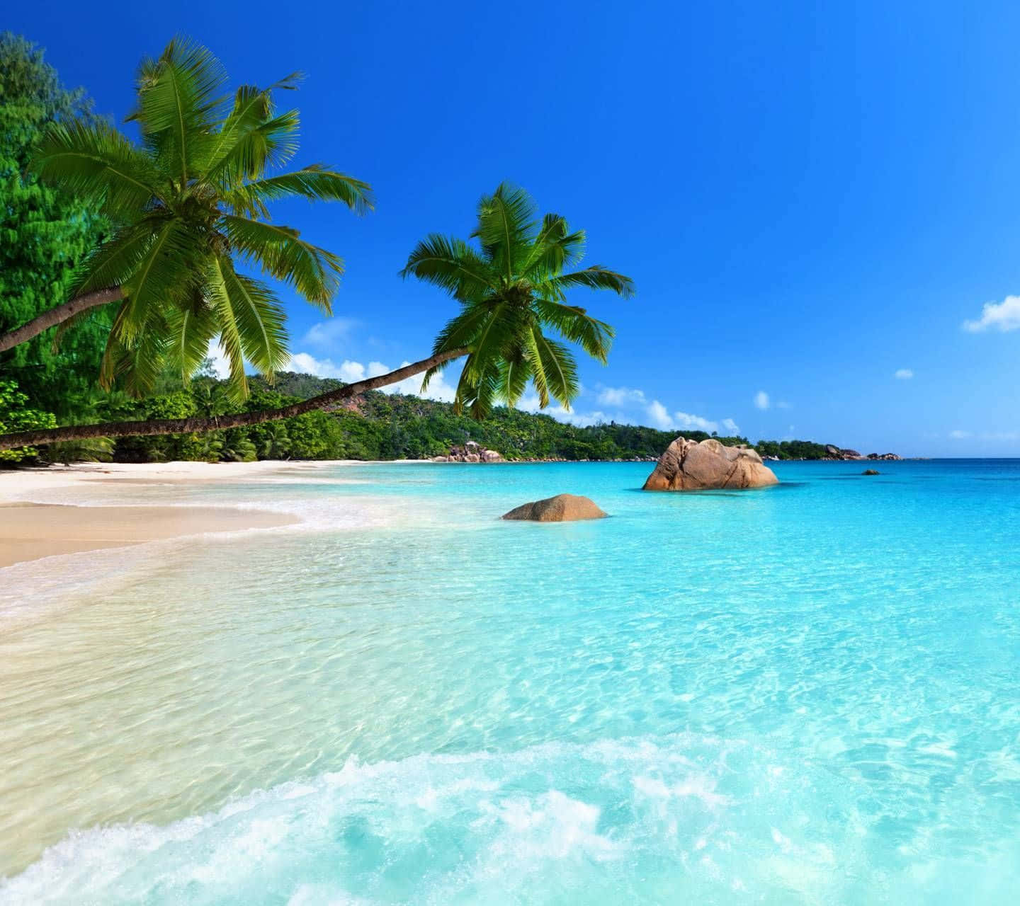 Tropical Beach Scene Clear Blue Waters Background