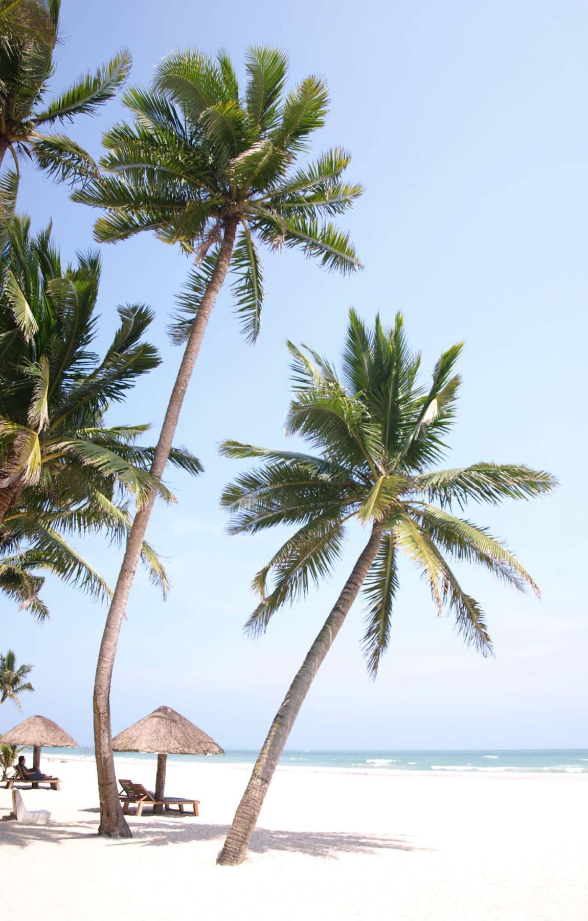 Tropical Beach Scene Cottages Coconut Trees