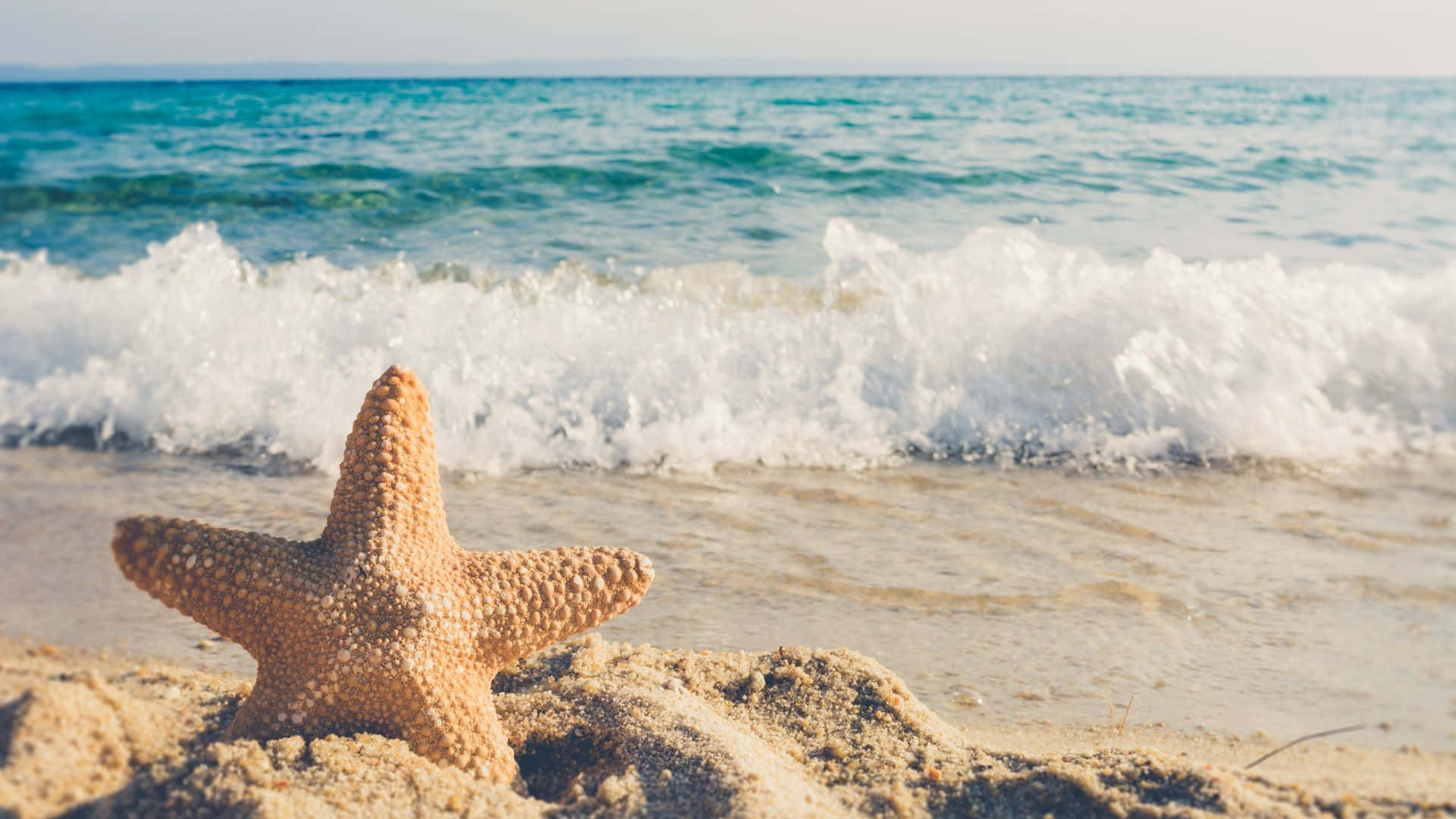 Tropical Beach Scene Star Fish Waves Background