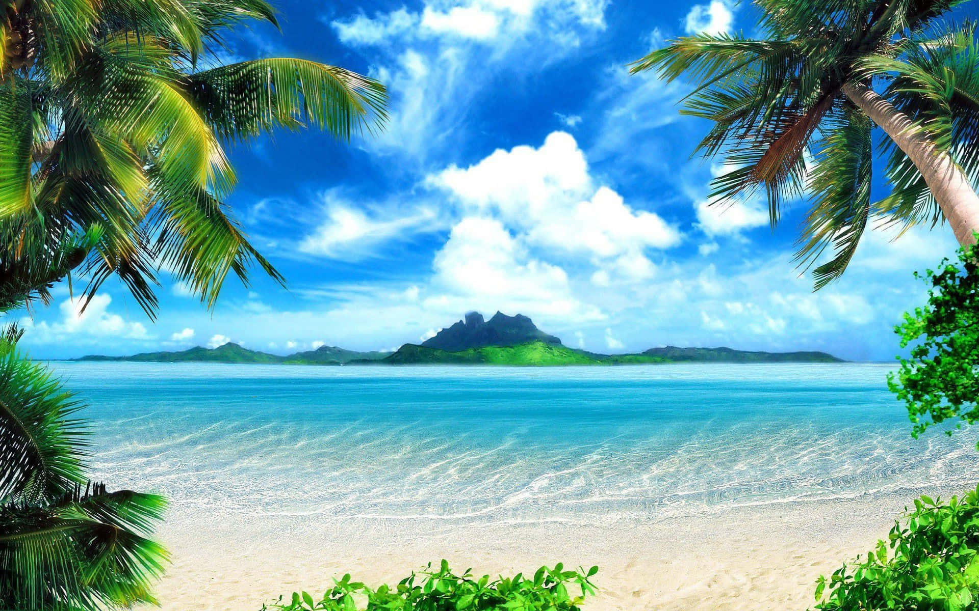 Tropical Beach Scene Studio Backdrop