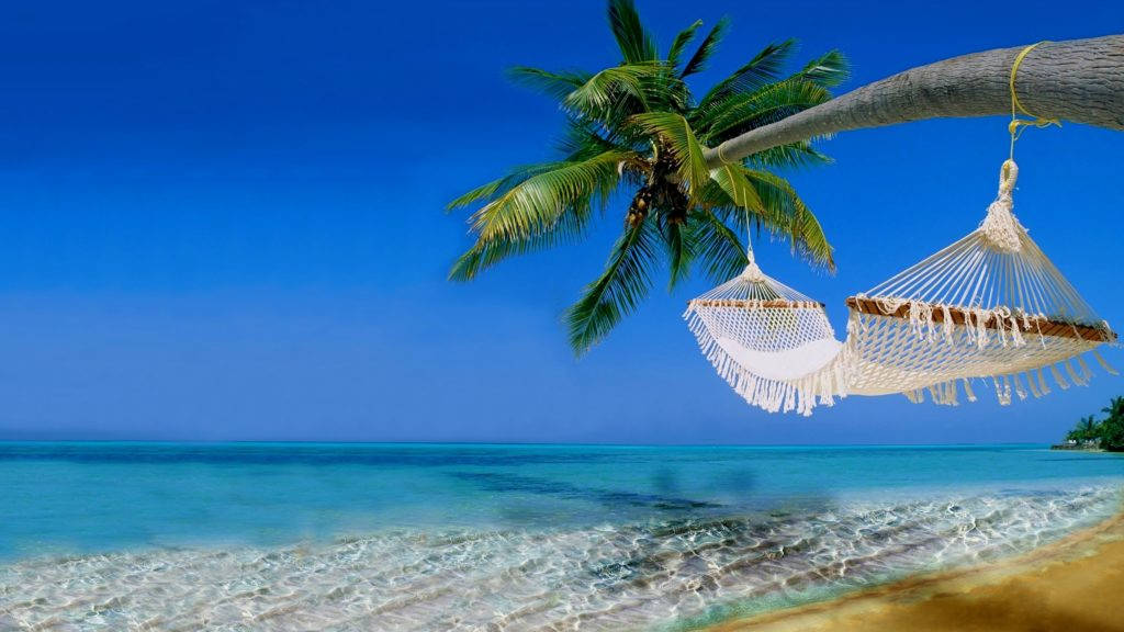 Tropical Beach Scene With Hammock Background