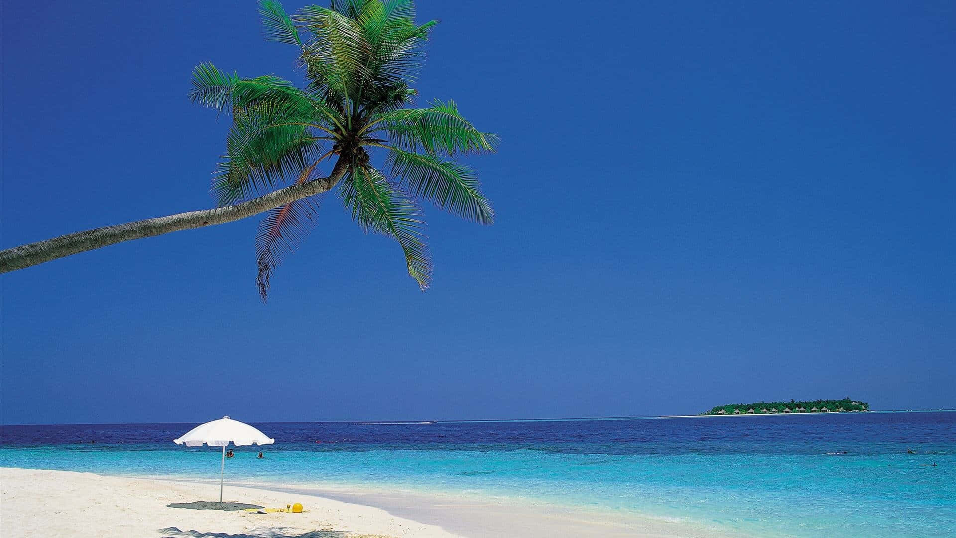 Tropical Beach Serenity