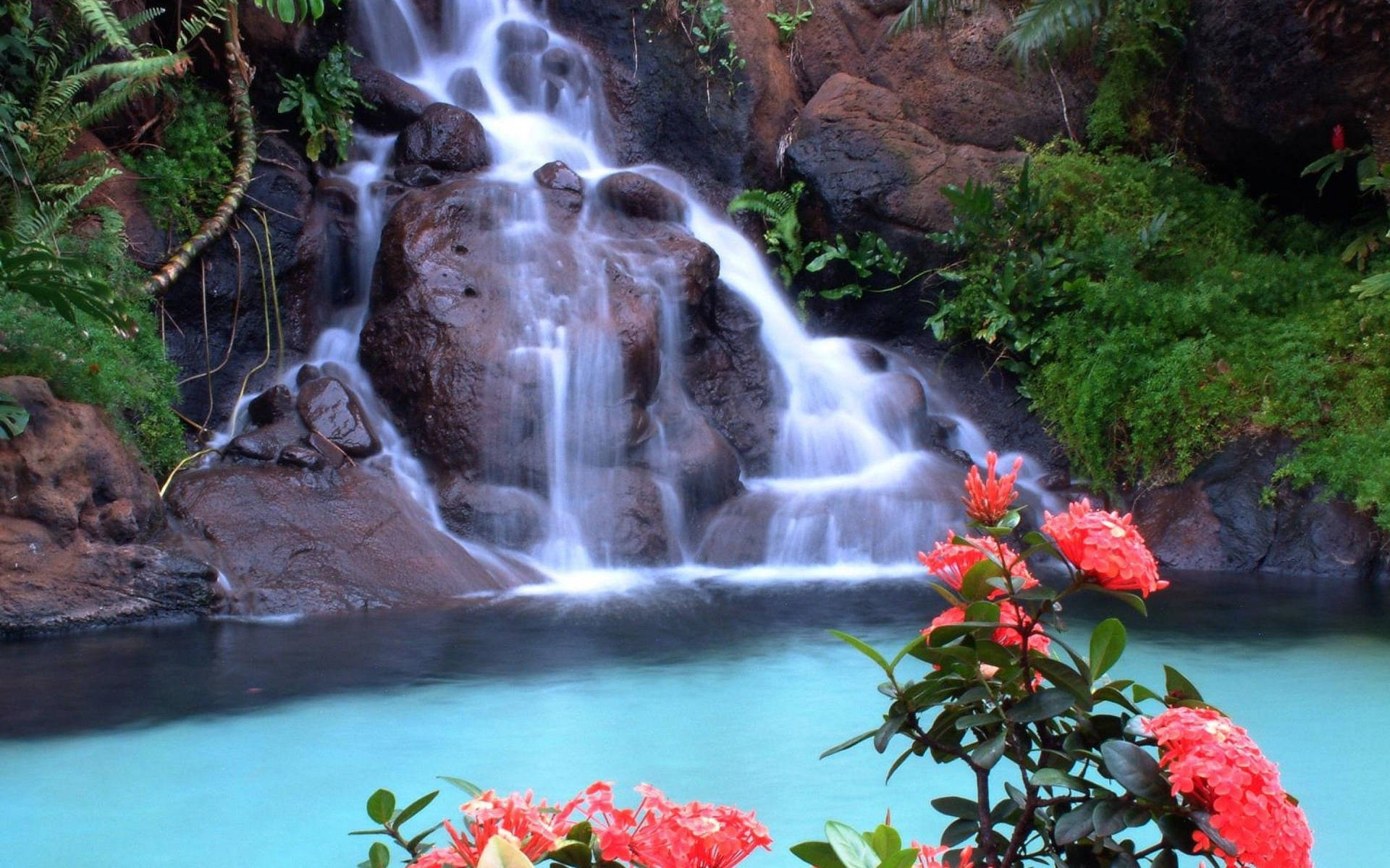 Tropical Beautiful Waterfall Background