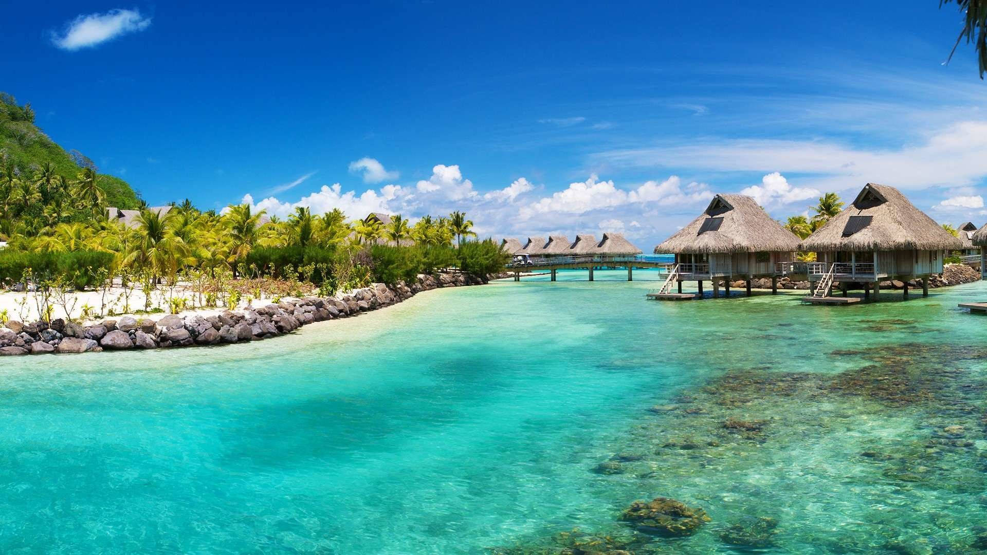 Tropical Belize Barrier Reef Background