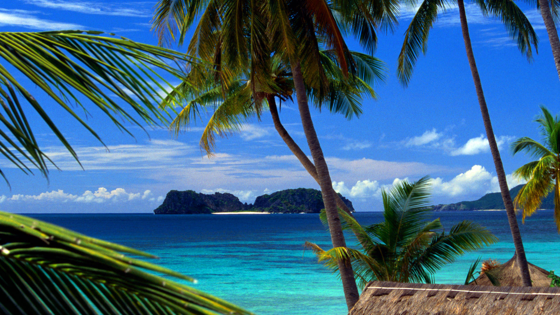 Tropical Caribbean Beach Background