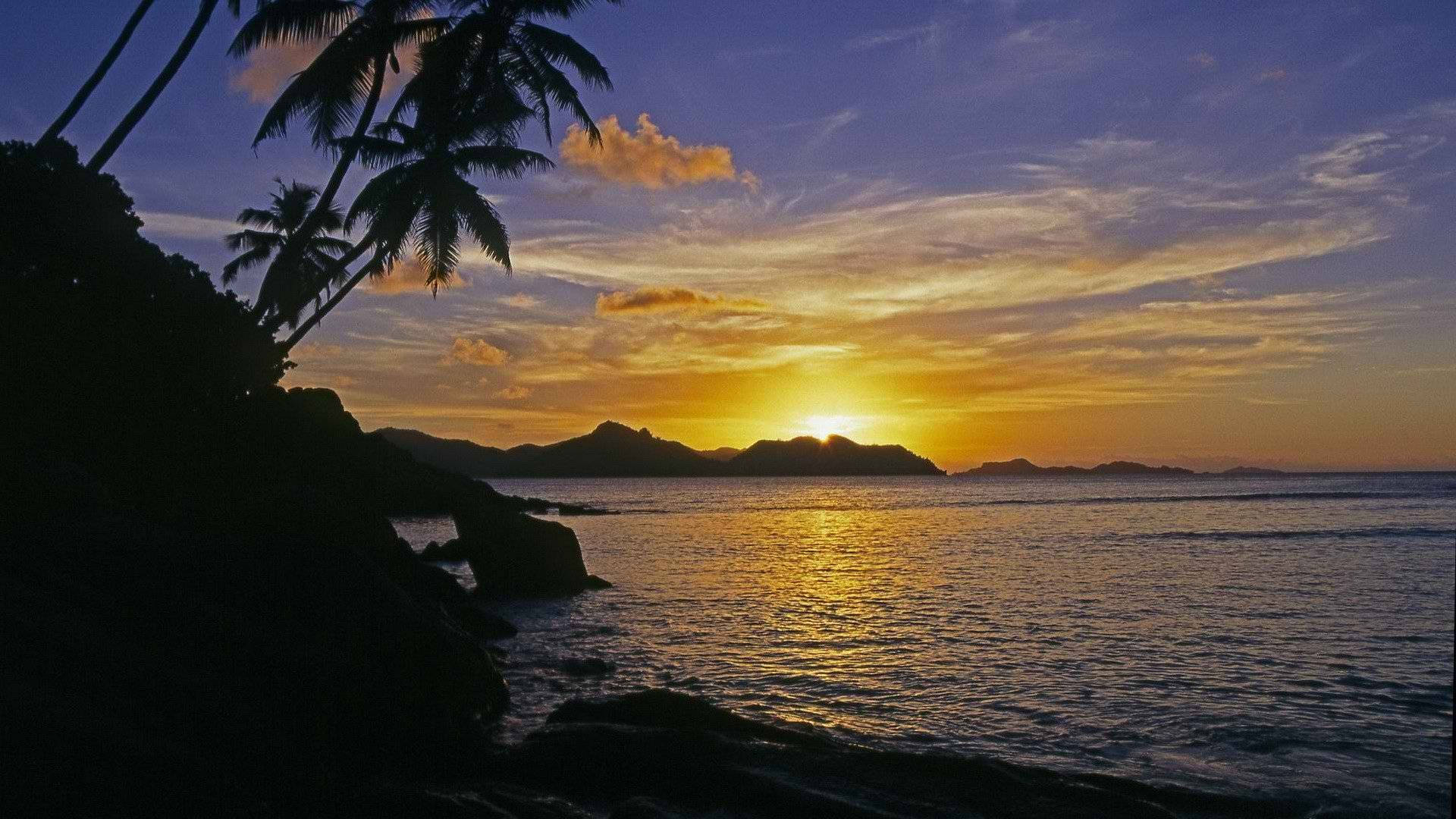 Tropical Daylight Sunset