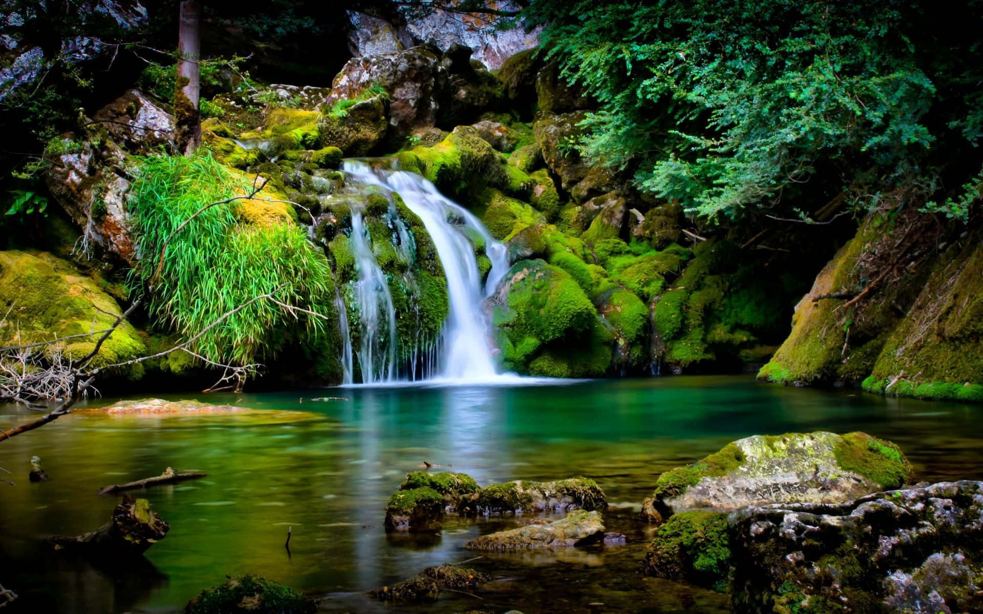 Tropical Forest With Waterfall Desktop Background