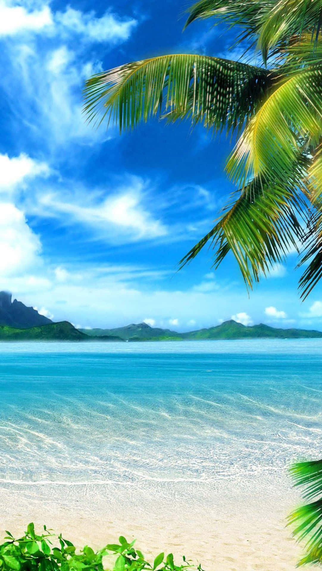 Tropical Island Blue Sky Background