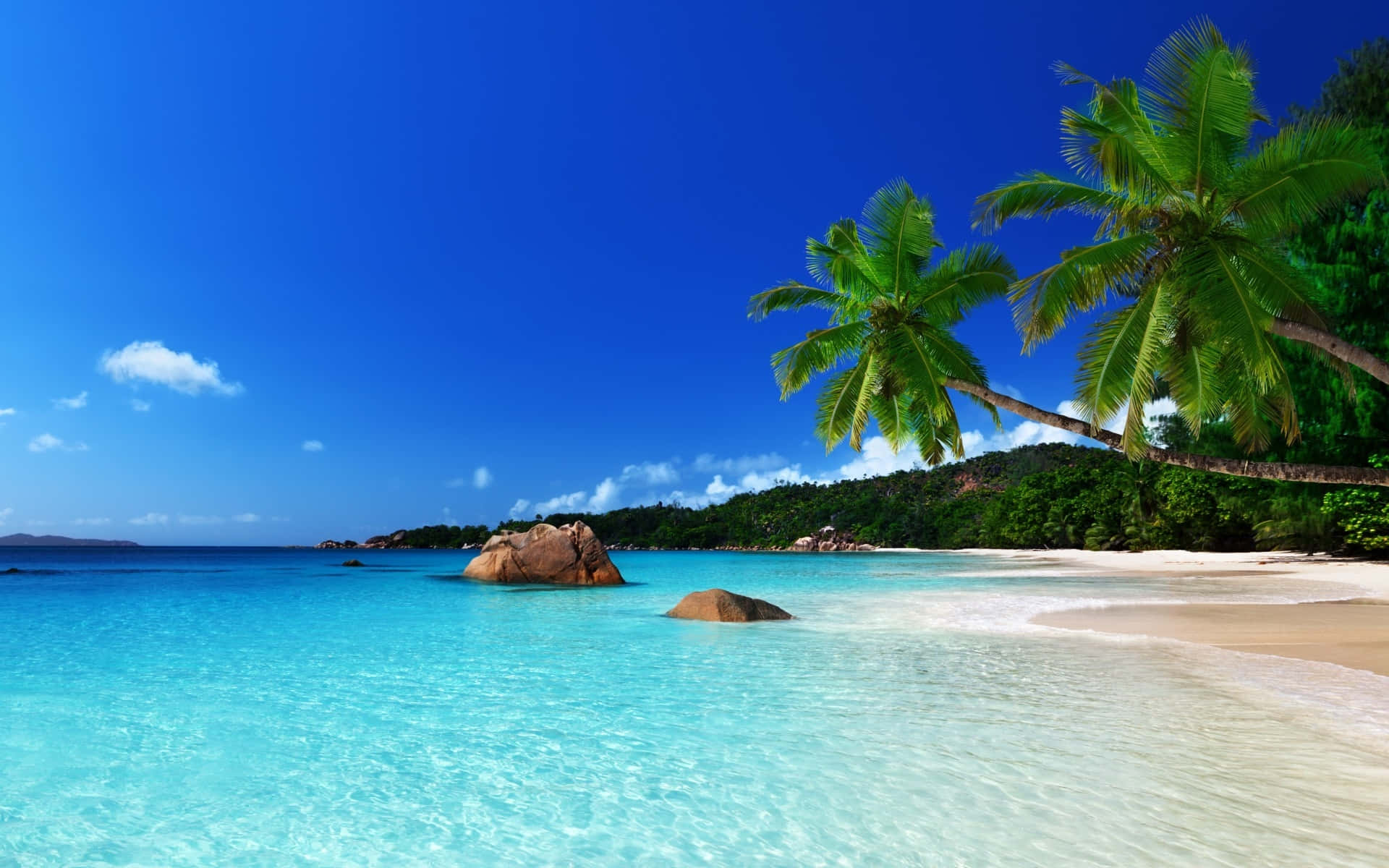 Tropical Island Rocks Background