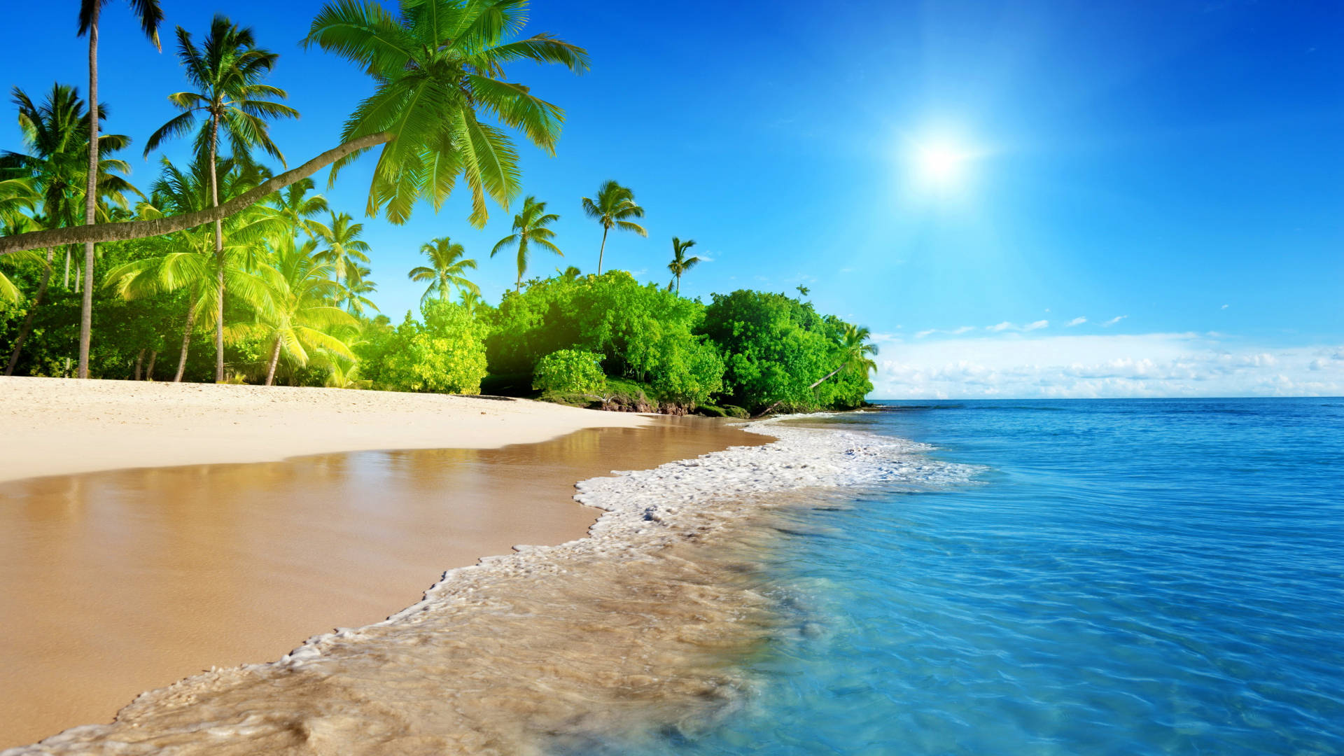 Tropical Island Season Background