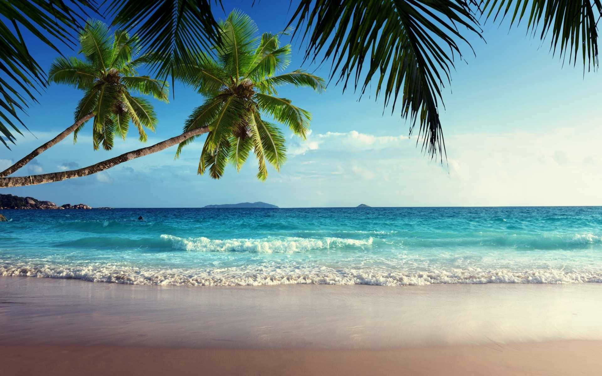 Tropical Island Waves Background