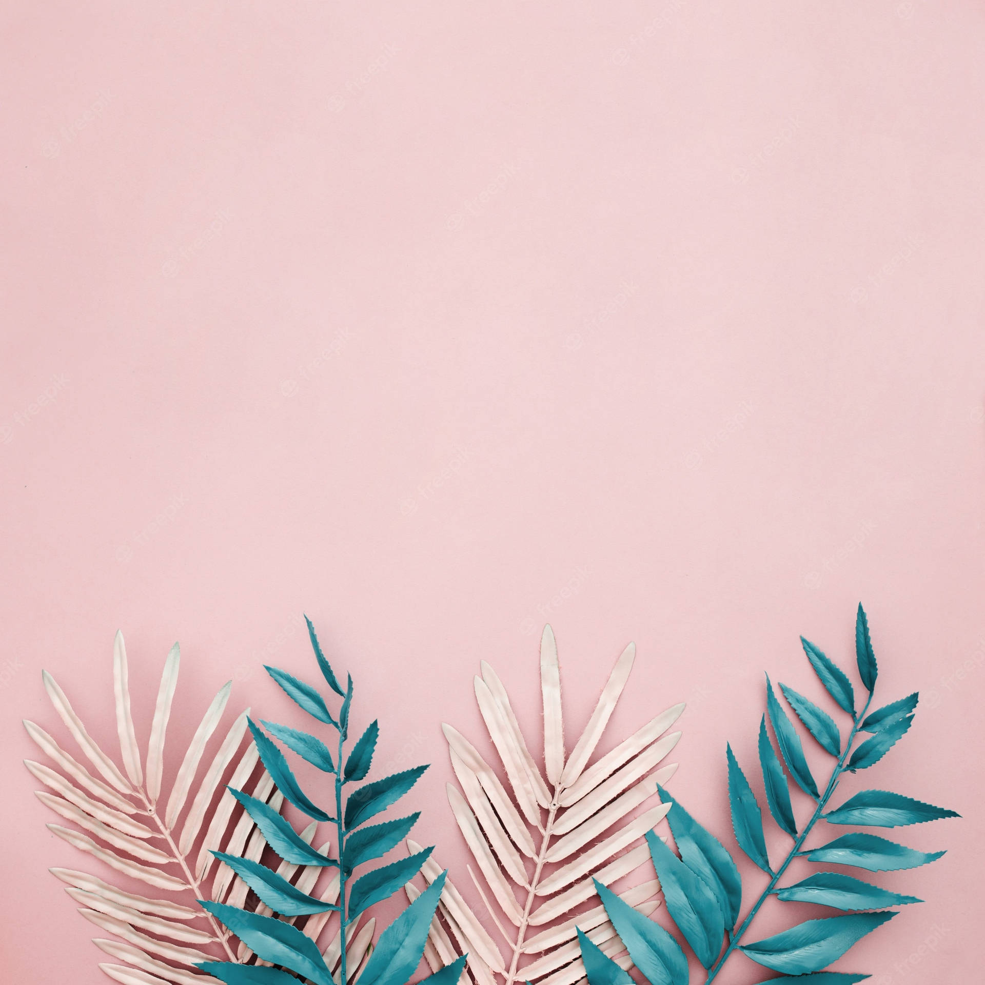 Tropical Leaves On Pastel Pink Background