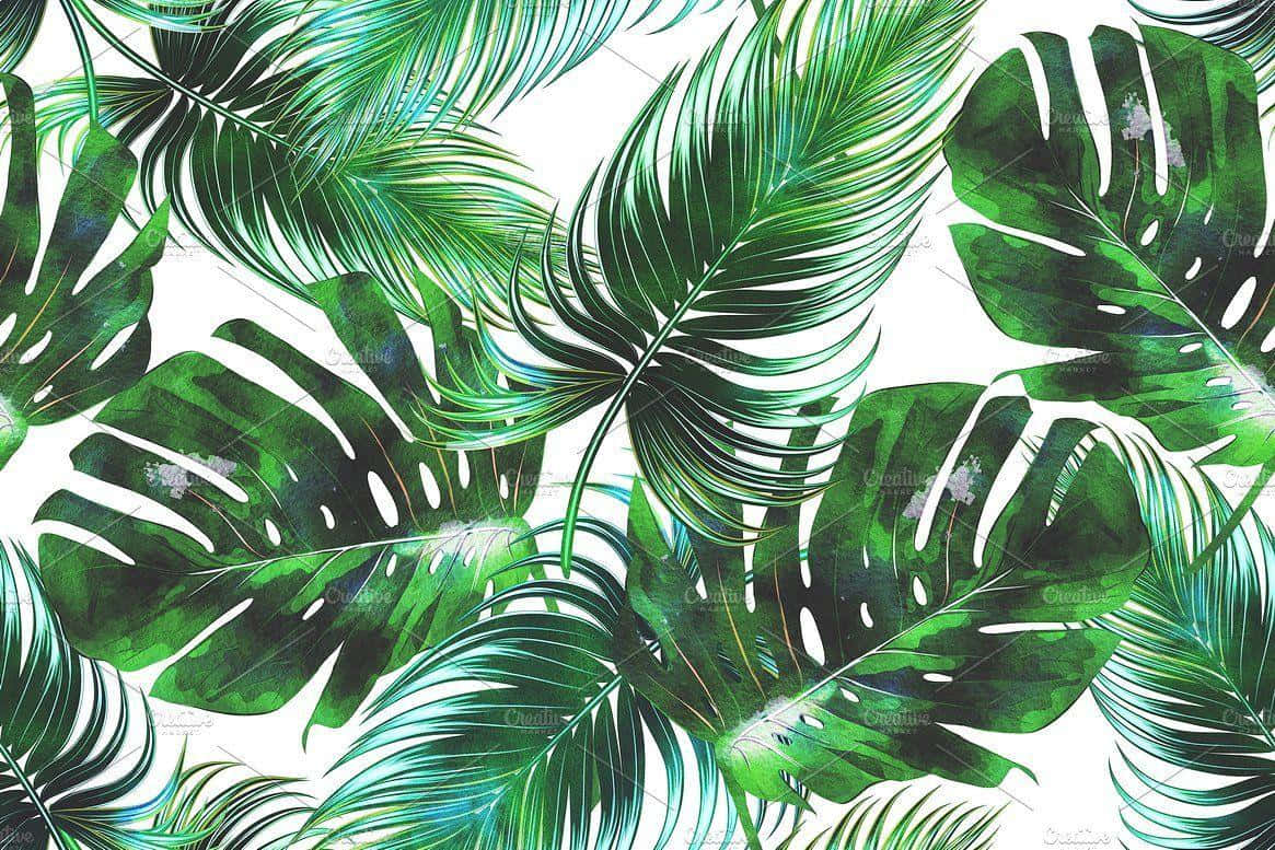 Tropical Leaves Seamless Pattern Background