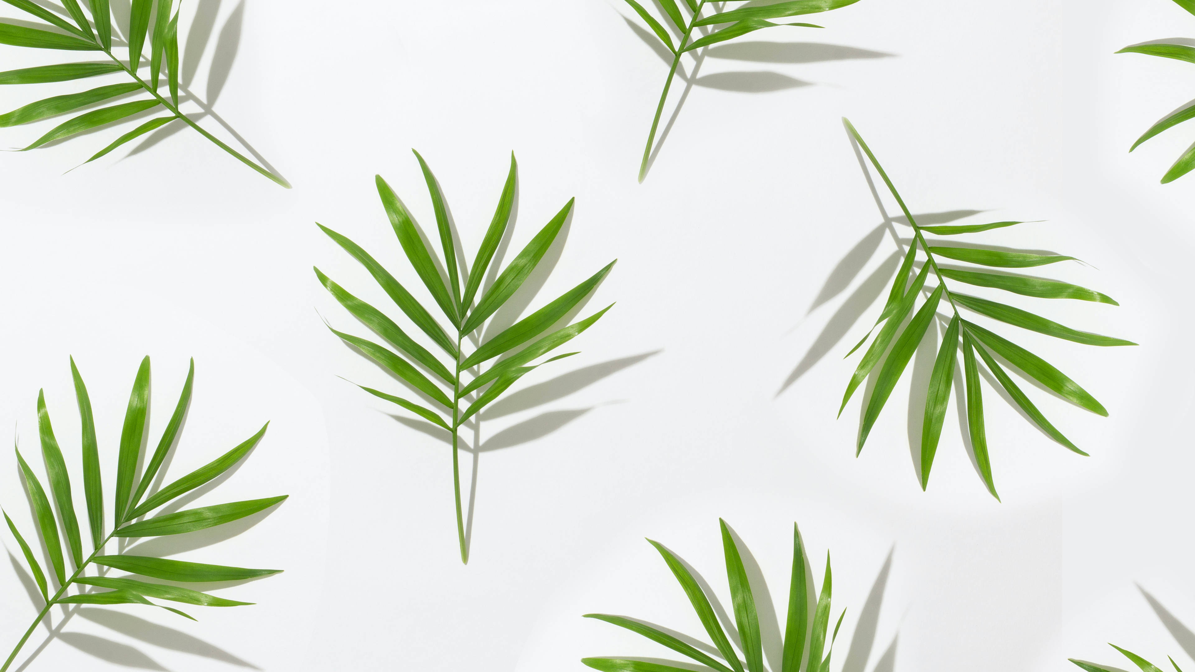 Tropical Minimalist Plant Leaf Pattern