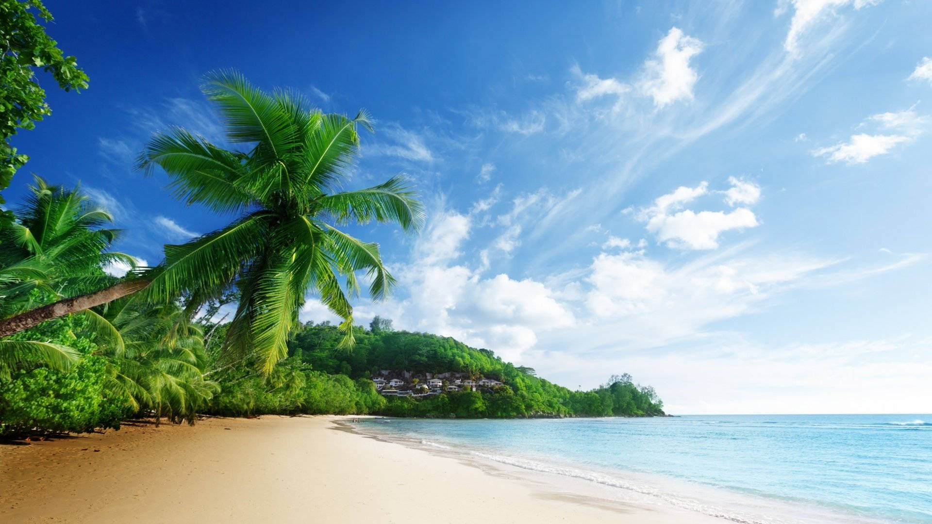 Tropical Natural Beach Scenery Background