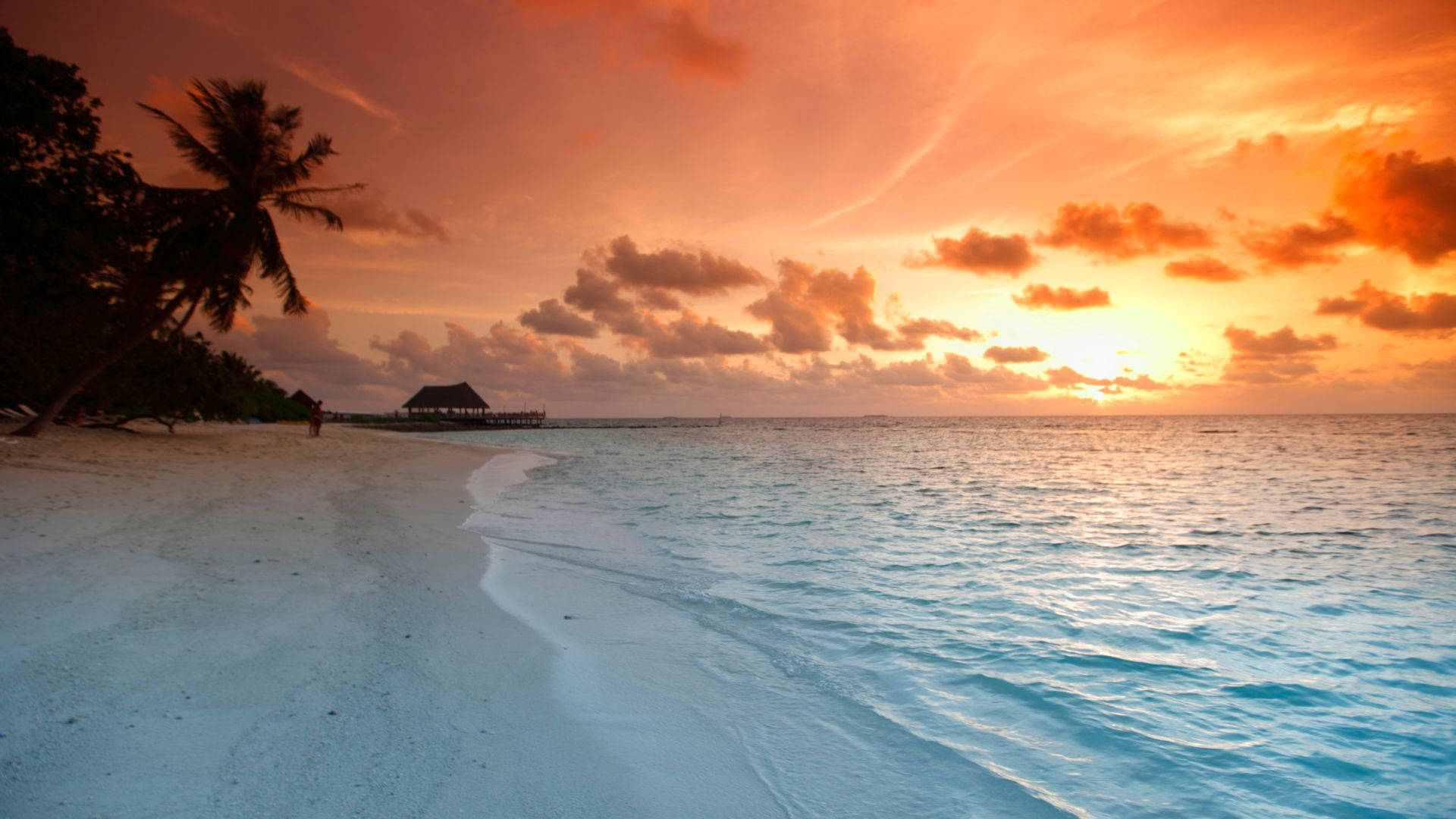 Tropical Orange Beach Sunrise Background