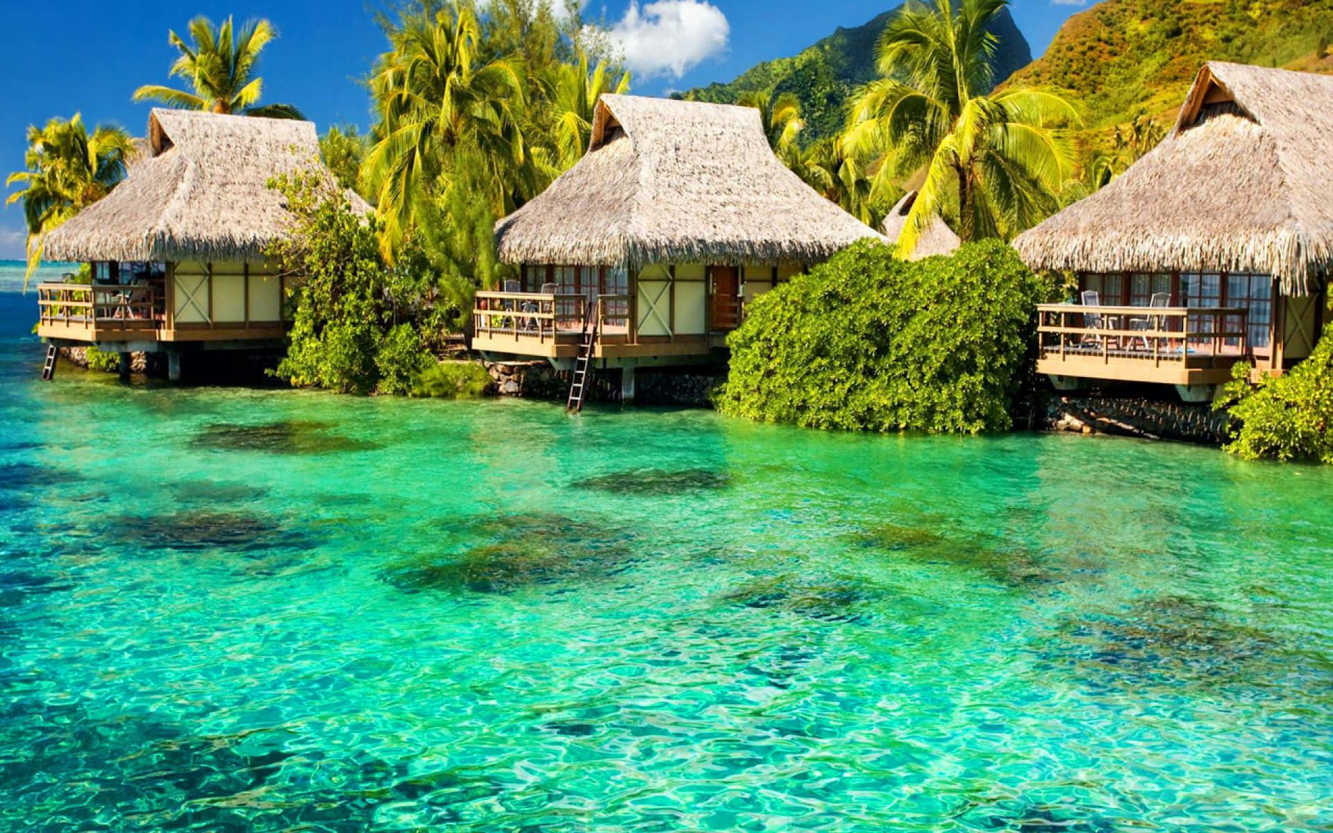 Tropical Overwater Bungalows Background