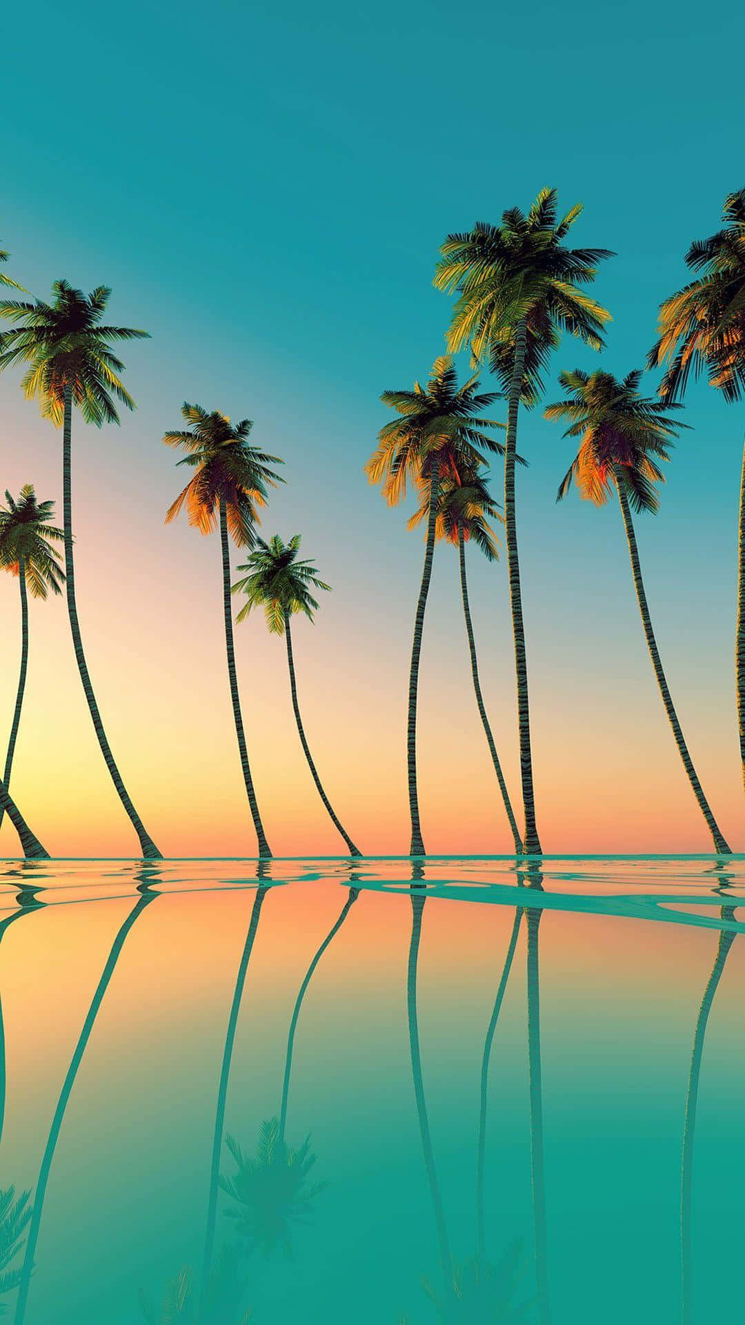 Tropical Palm Trees Cast A Stunning Silhouette Against The Sunny Sky
