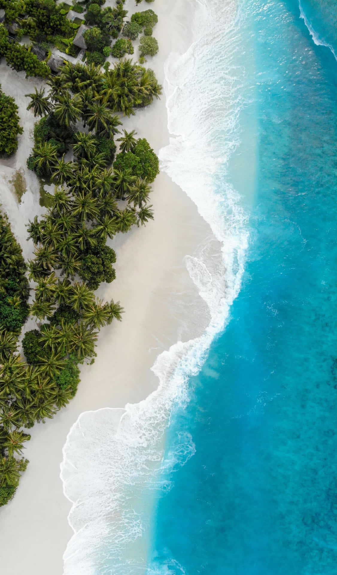 Tropical_ Paradise_ Aerial_ View_4 K_ U H D.jpg Background