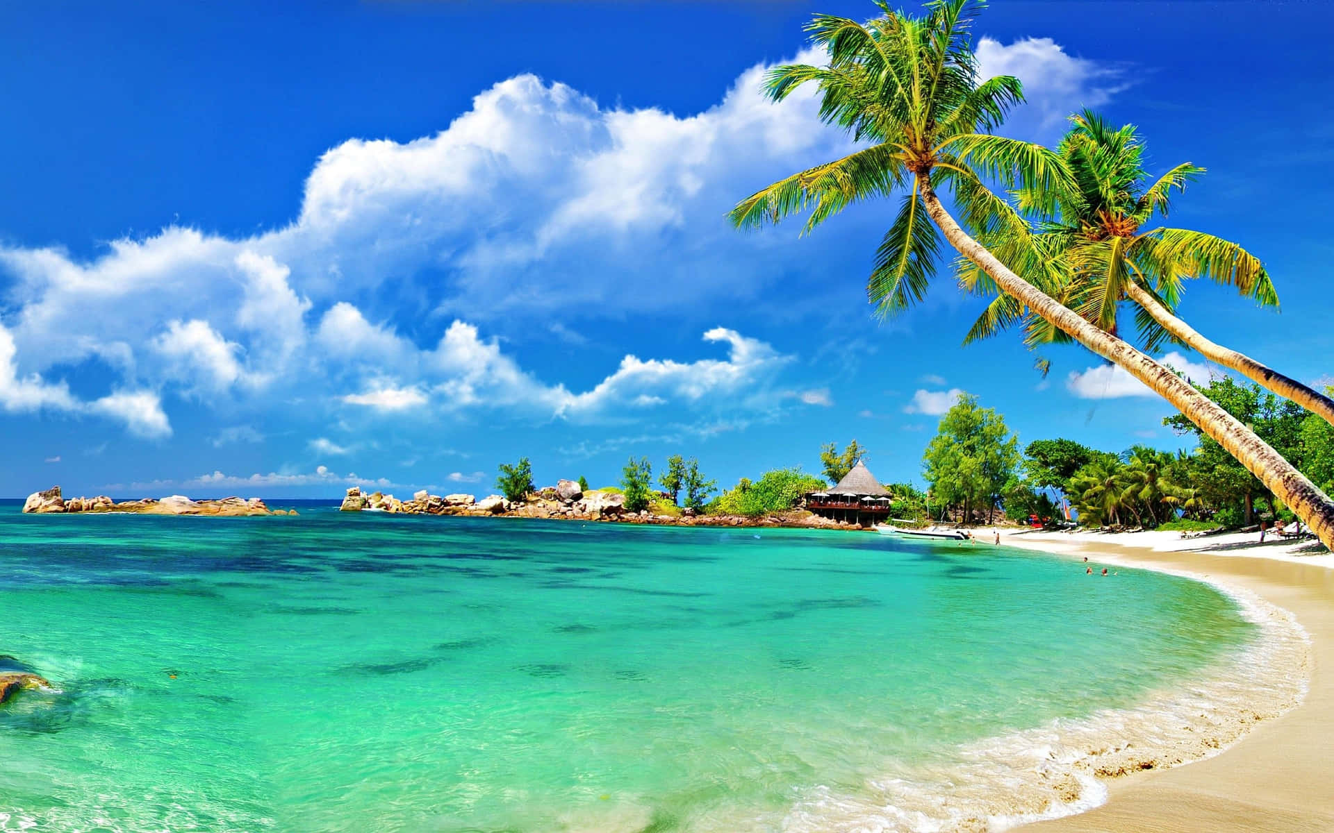 Tropical Paradise Beach Caribbean Background