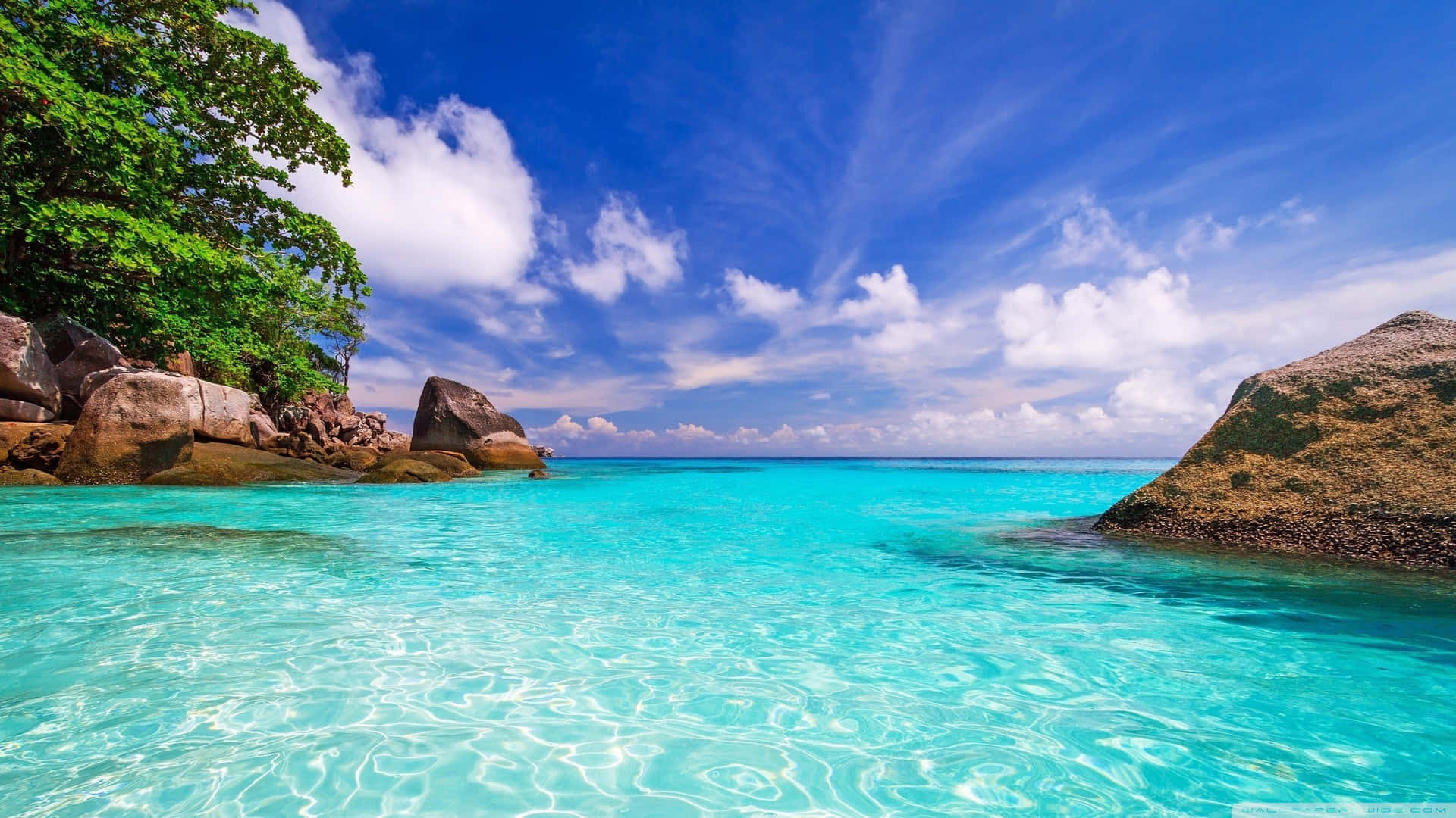 Tropical Paradise Beach Crystal Waters Background