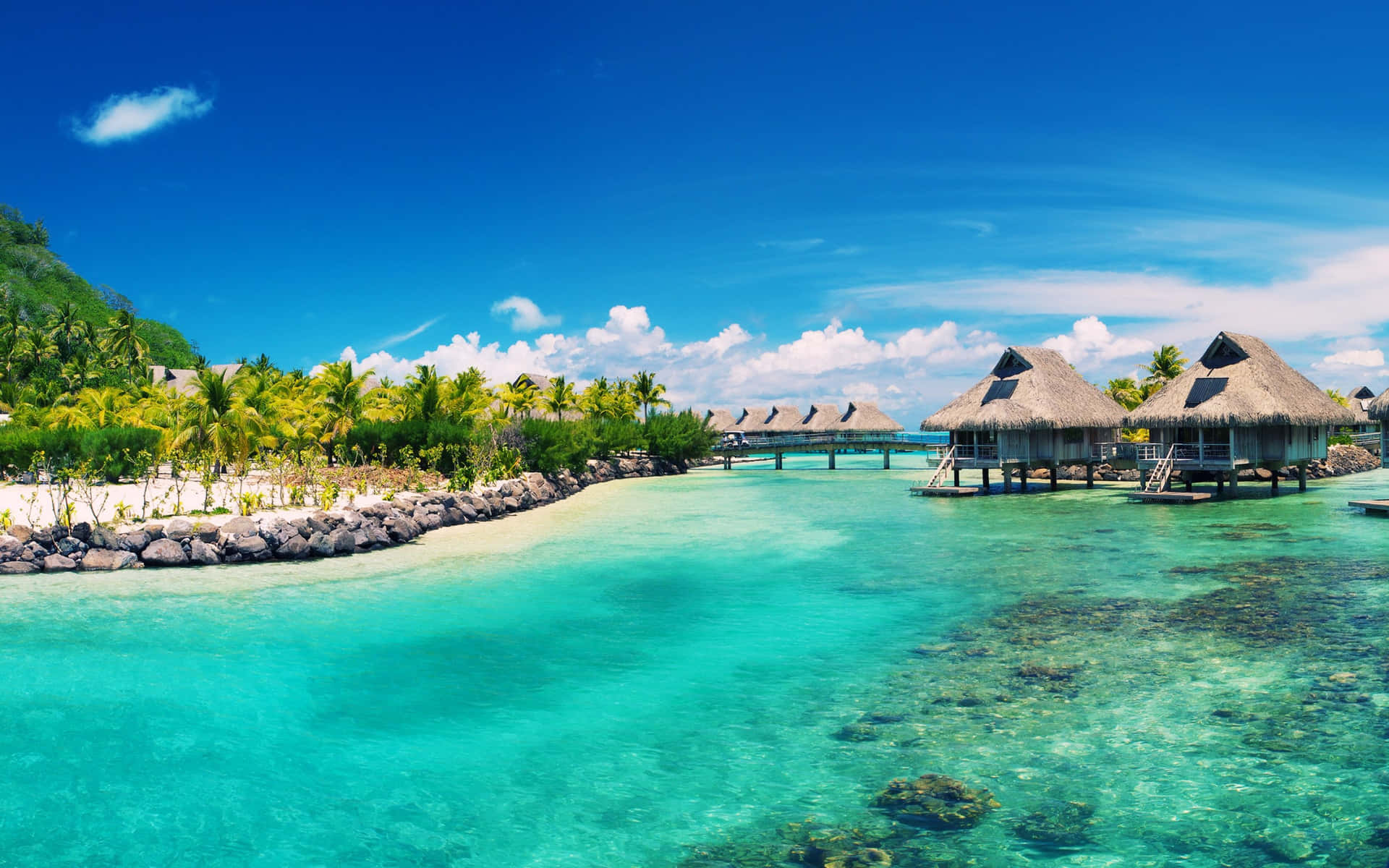 Tropical Paradise Resort Caribbean Background