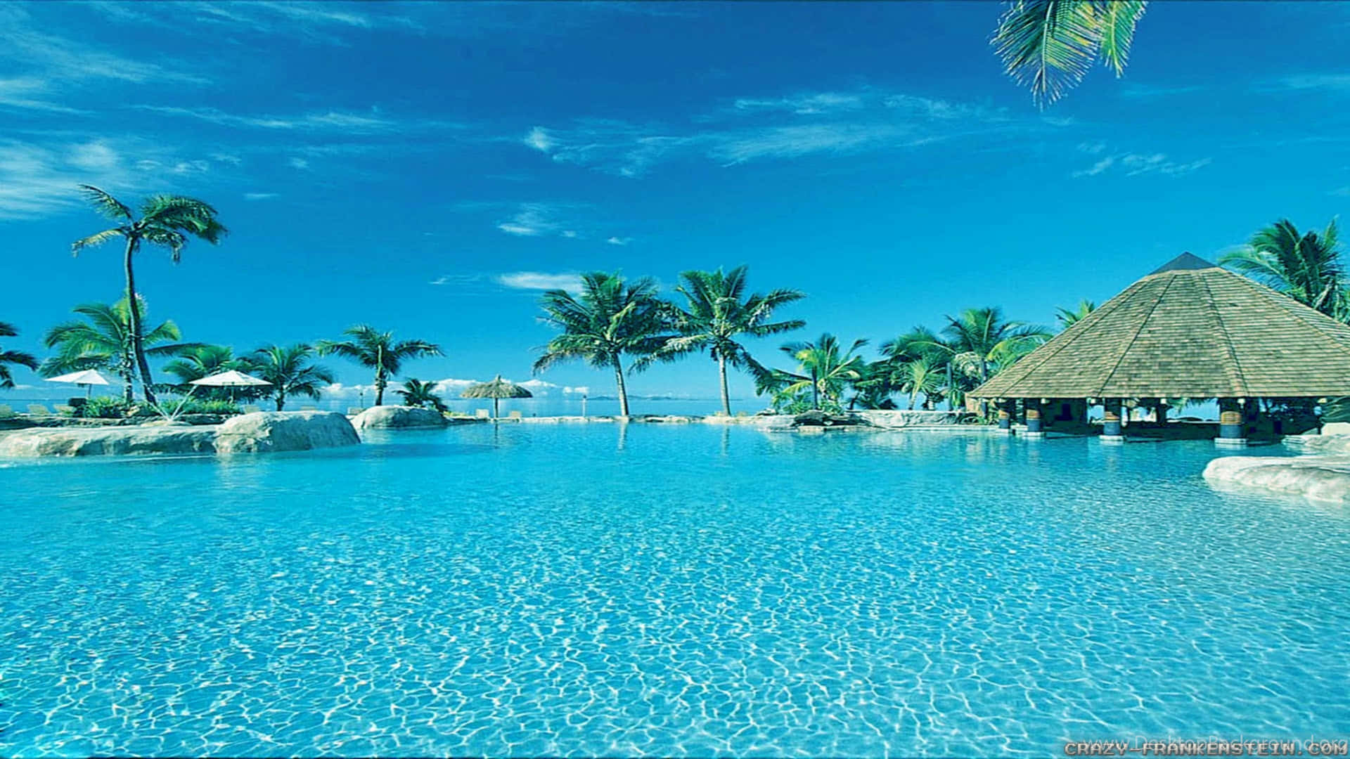 Tropical Paradise Swimming Pool4 K Ultra Wide Background