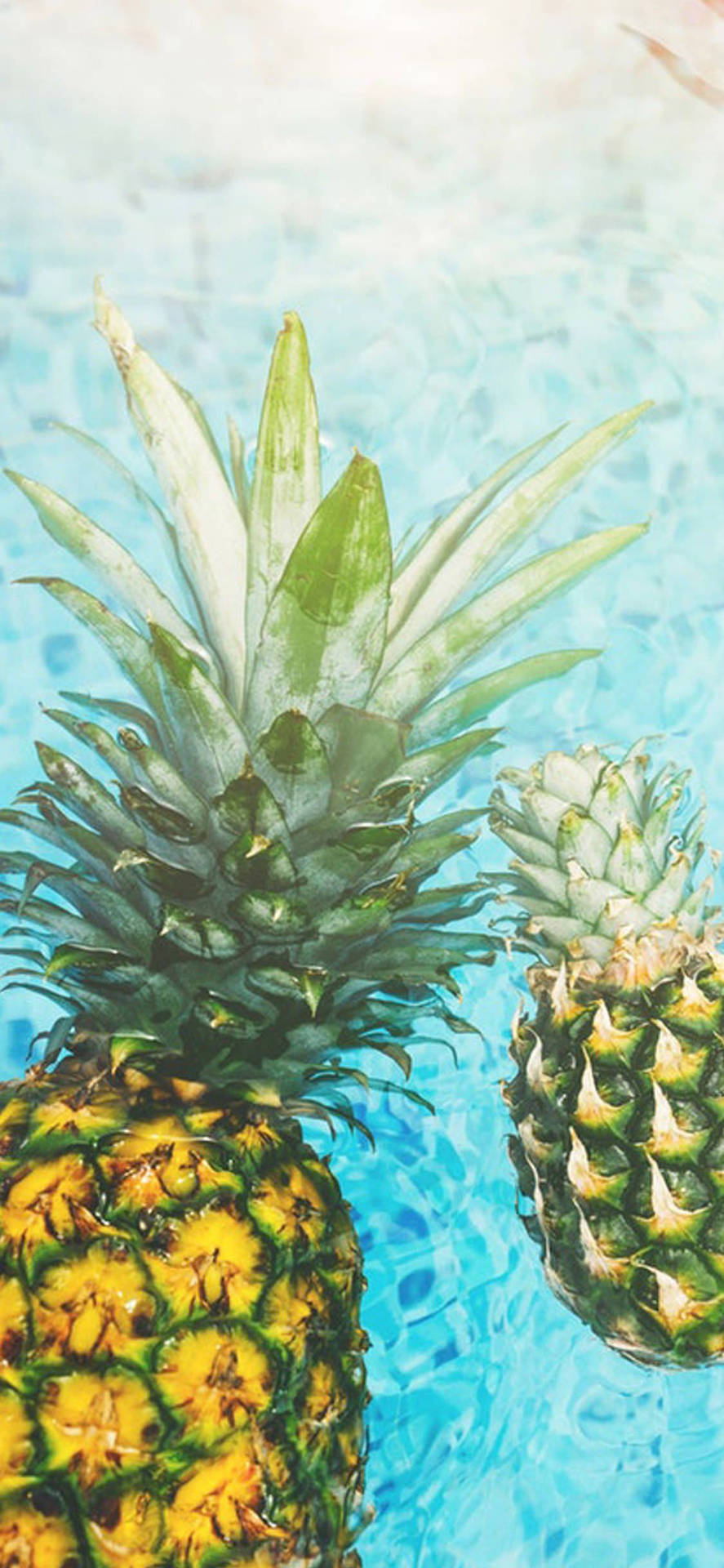 Tropical Pineapple Iphone Wallpaper Background