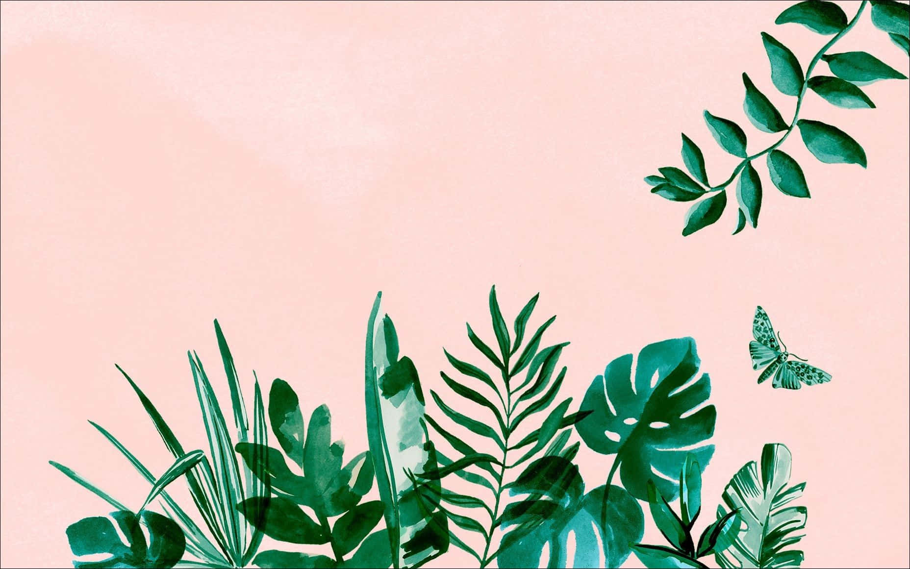 Tropical Plants Aesthetic Pink Desktop Background