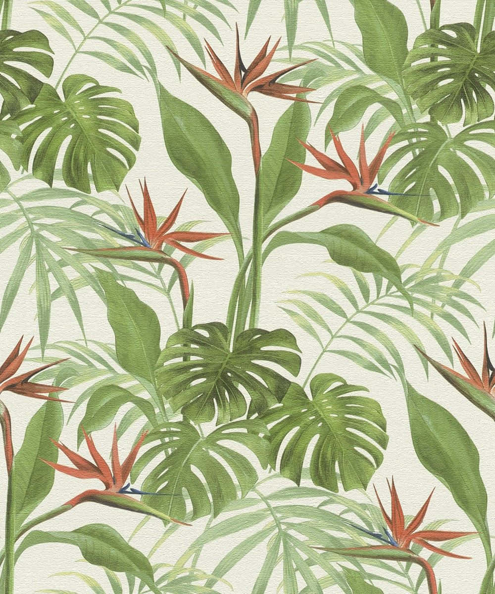 Tropical Plants Minimalist Pattern Background Background