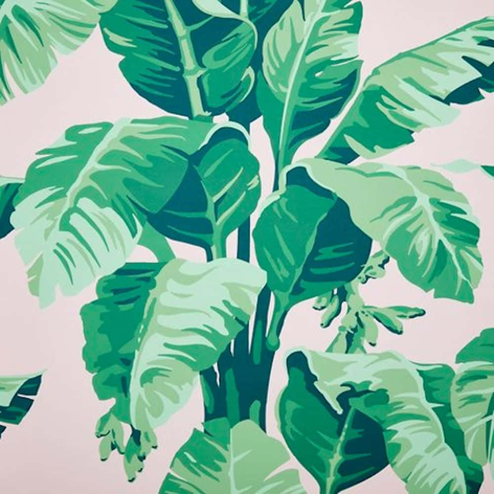 Tropical Plants Vector Art Banana Leaves Background