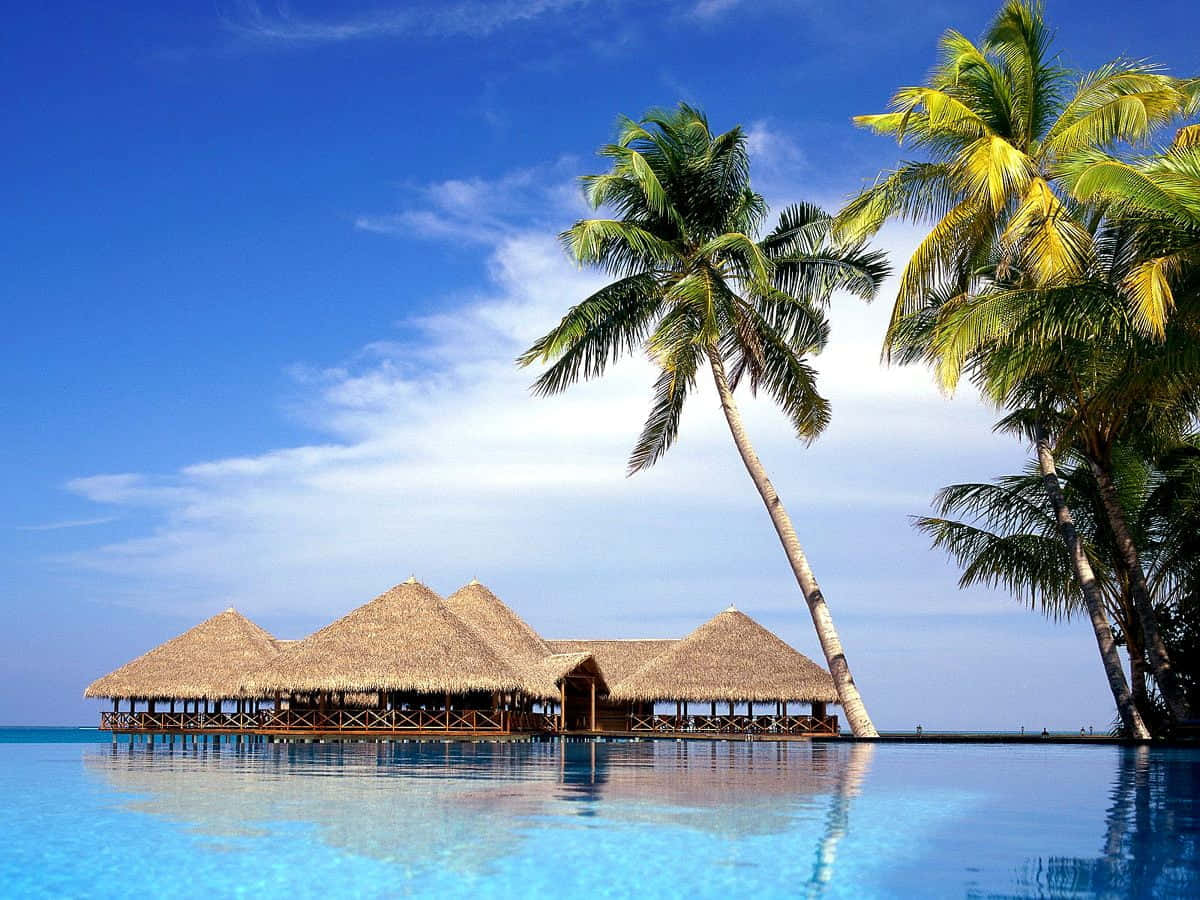 Tropical Resort Paradise Caribbean Background
