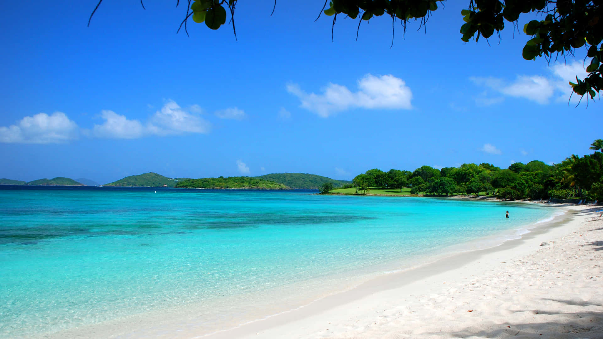 Tropical Sandy Beach Scene Calm Waters Background