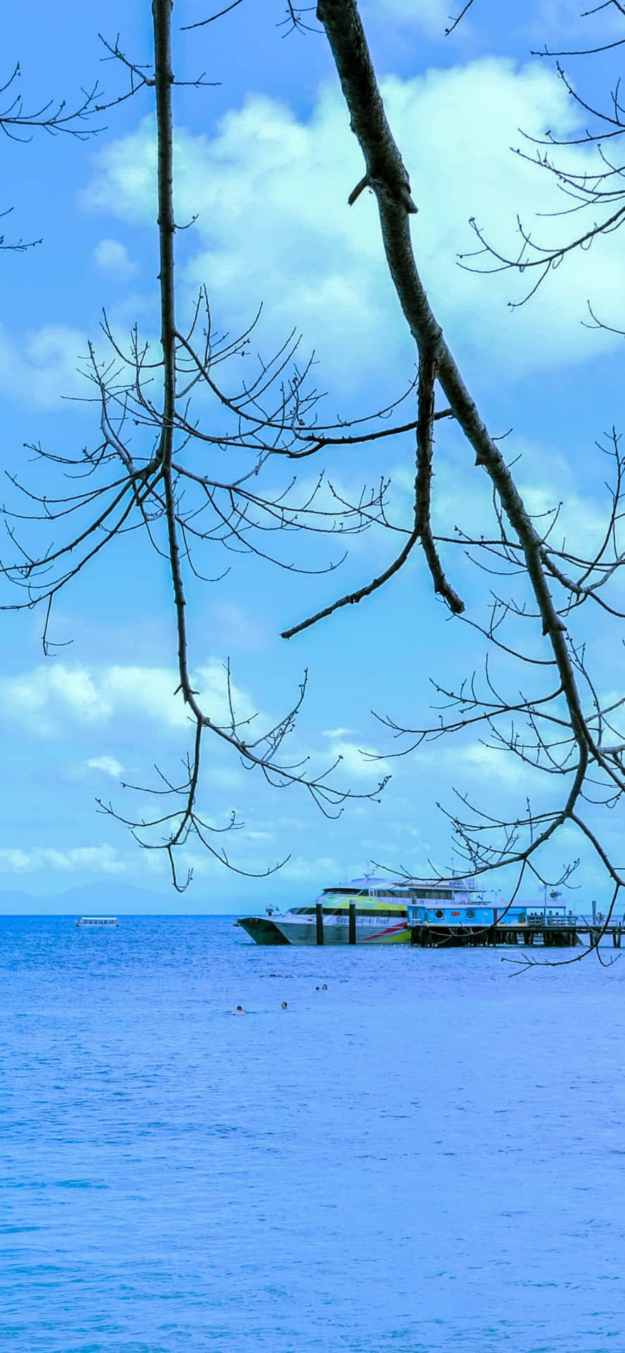 Tropical Seascapewith Pontoon Great Barrier Reef Background