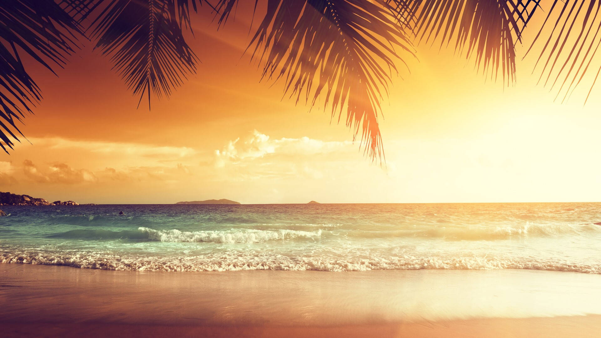Tropical Seashore In Sunset Background
