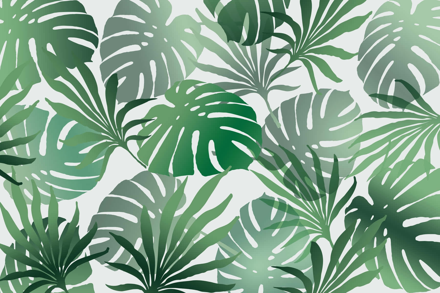 Tropical Summer Monstera Leaves Illustration