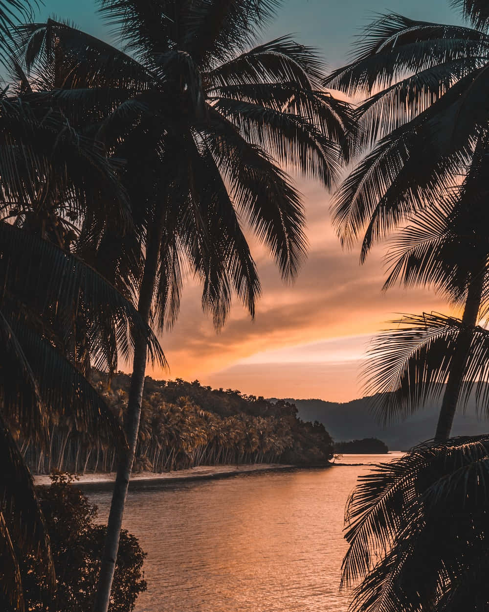 Tropical Sunset Aesthetic Background