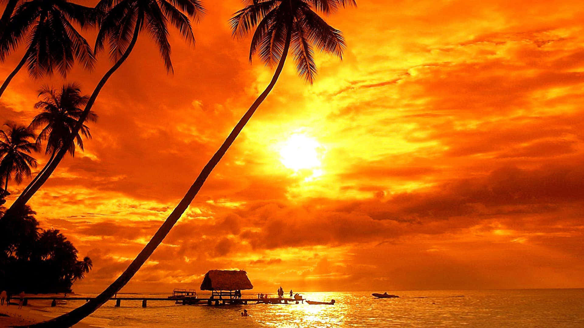 Tropical Sunset Amazing Orange Sky Background