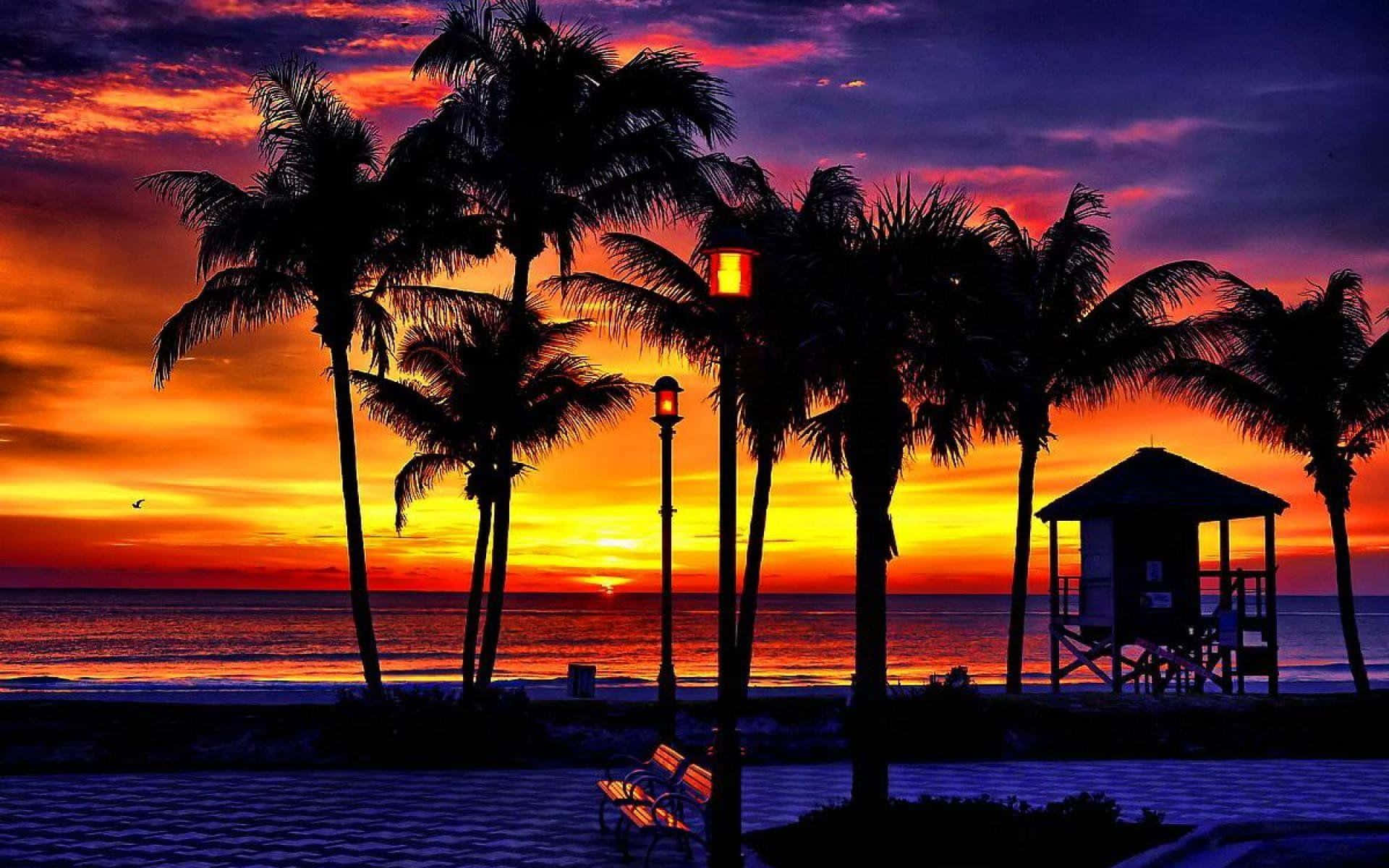 Tropical Sunset Beachside Background